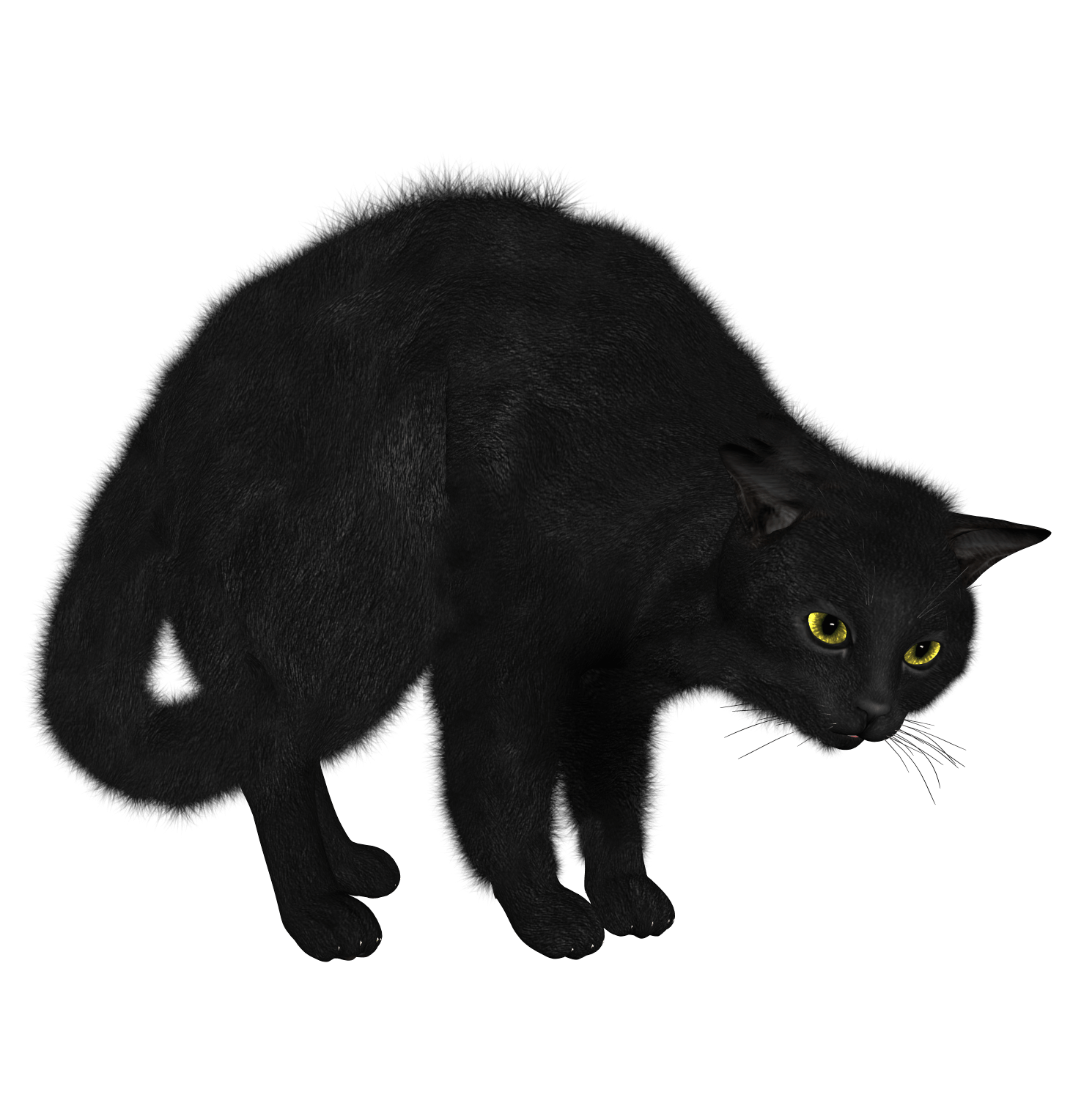 Black Cat Png Image PNG Image