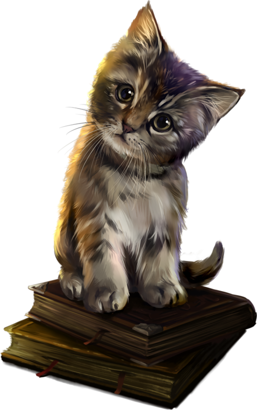 Medium Magic Savannah Academy Whiskers Cat Sized PNG Image