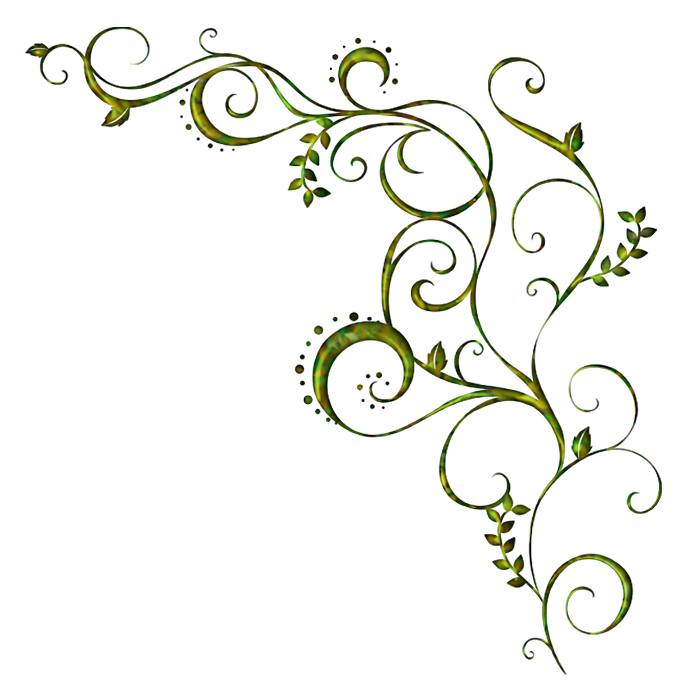 Plant Leaf Stem Design Floral Chanel PNG Image