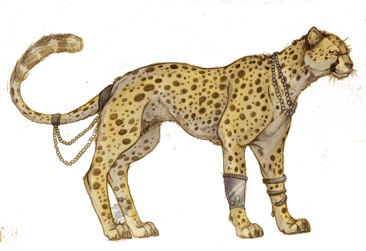 Cheetah Picture PNG Image