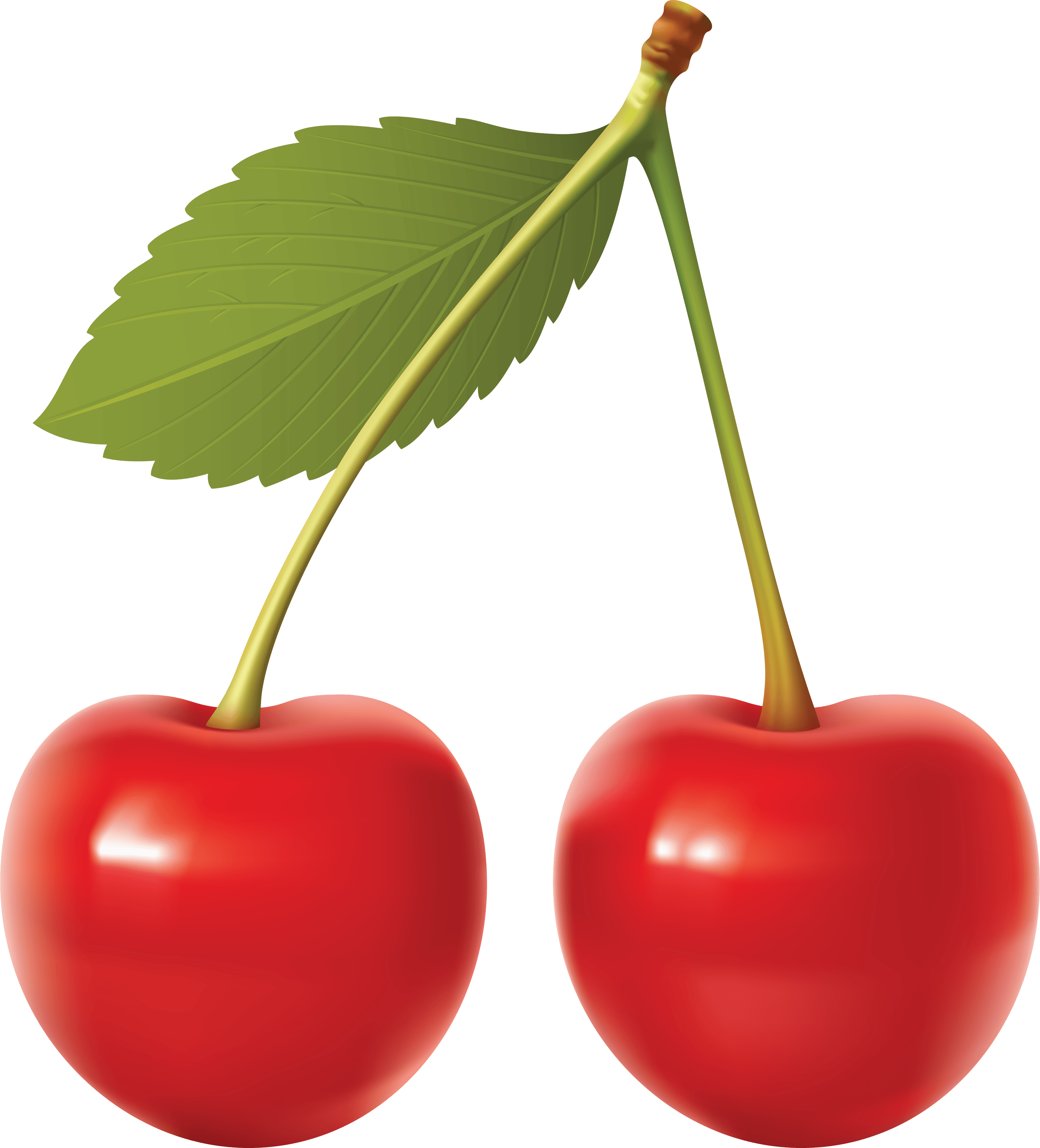 Cherry Png Image PNG Image