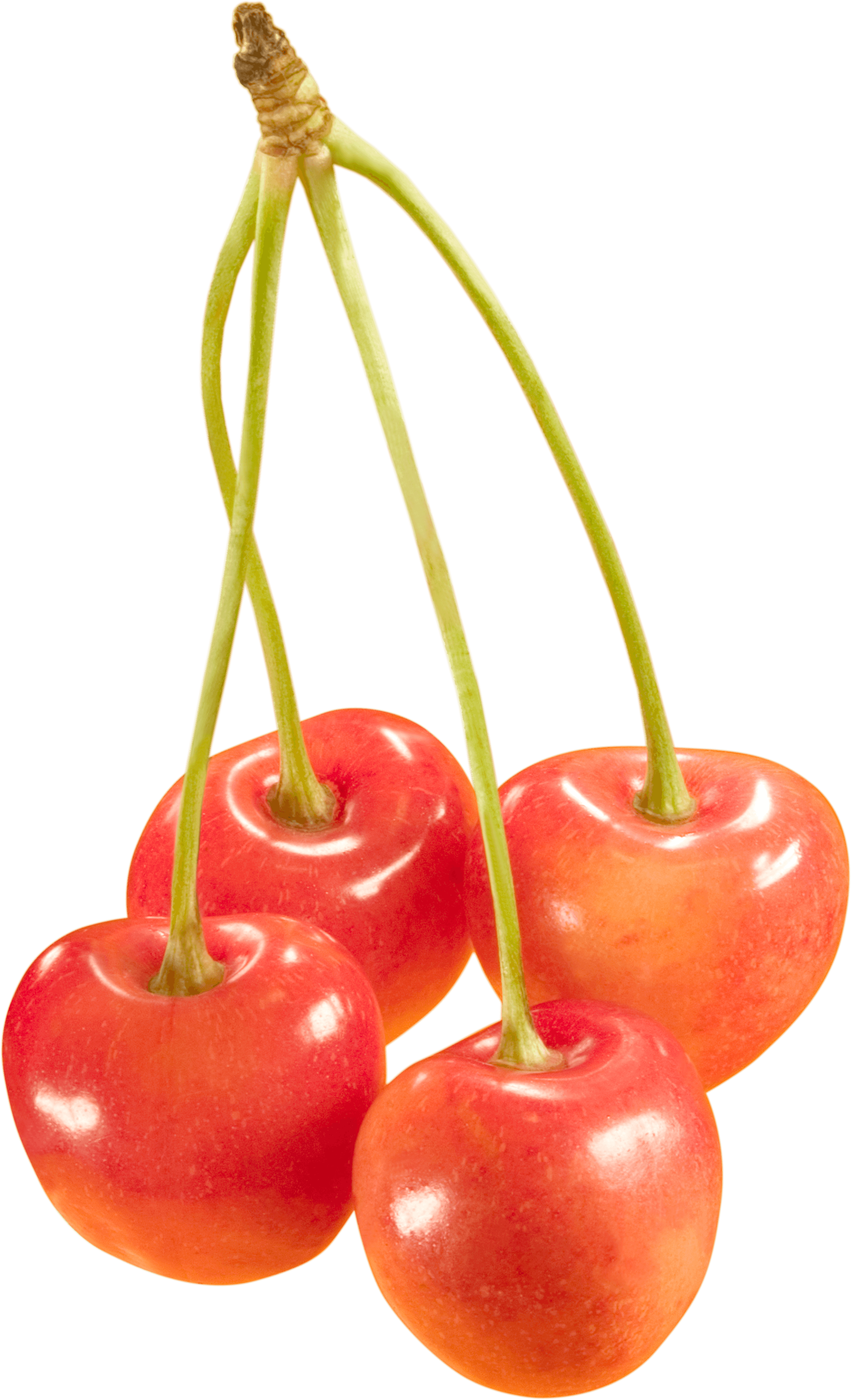 Cherries Png Image PNG Image