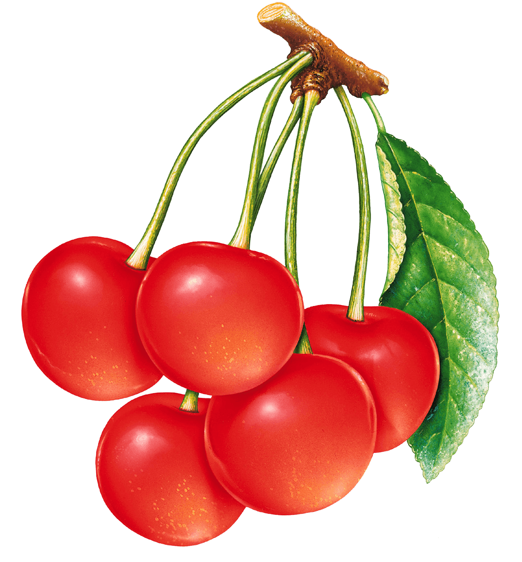 Red Cherry Png Image Download PNG Image