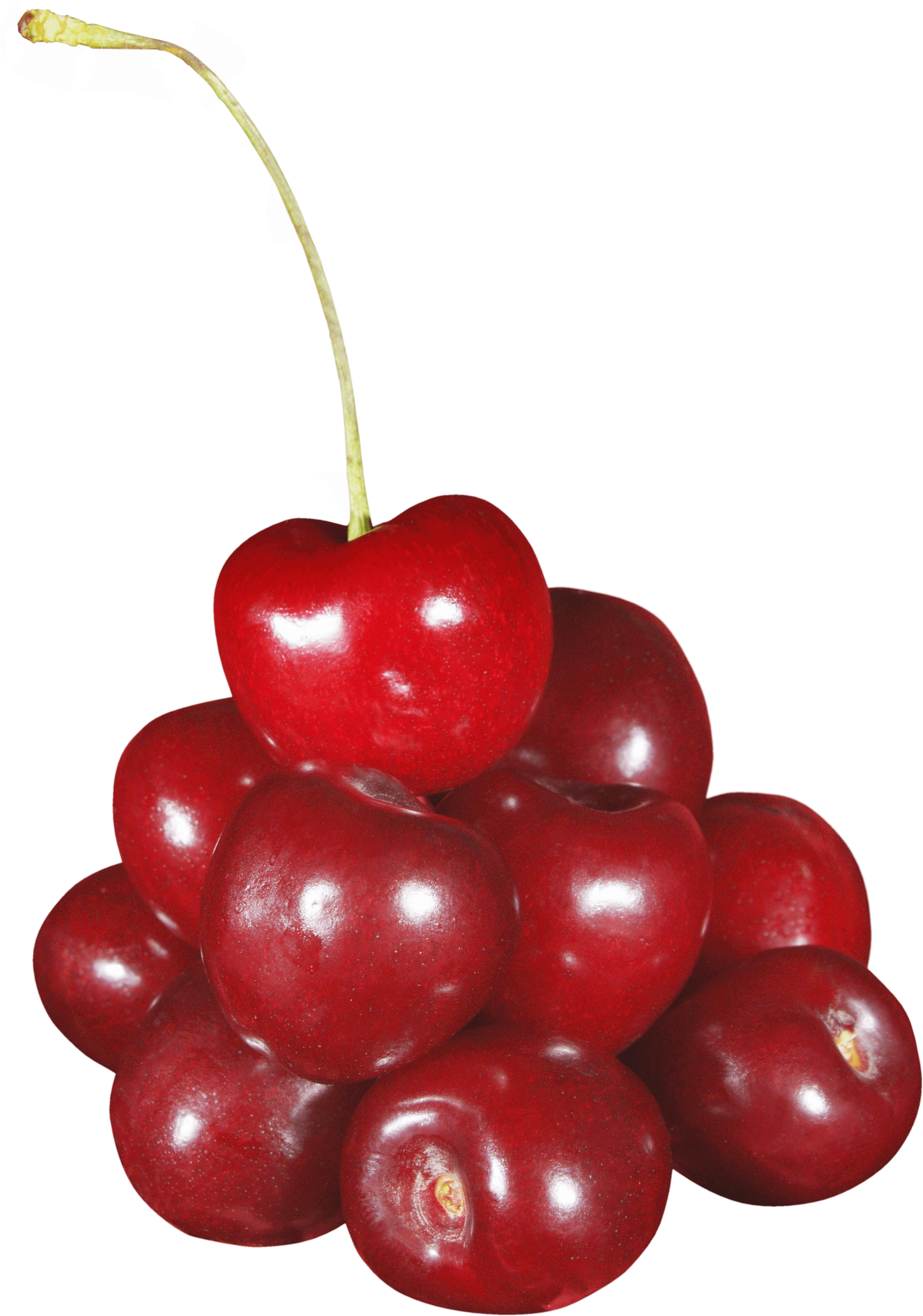 Cherry Png Image PNG Image