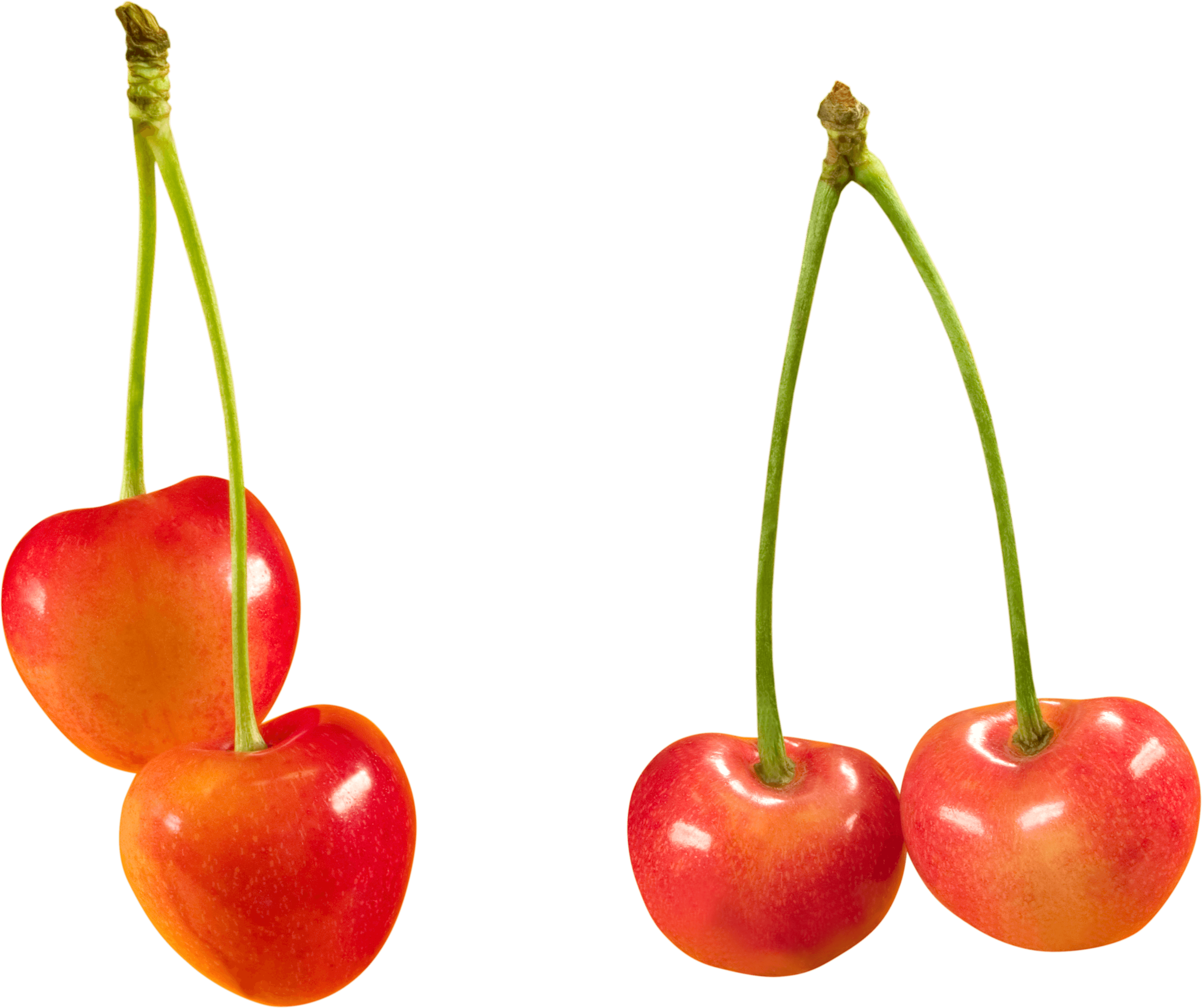 Cherry Png Image PNG Image