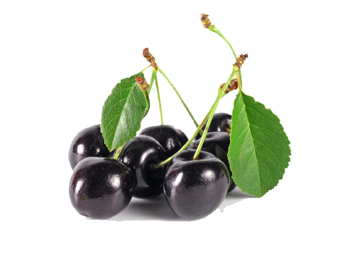 Black Cherry Image PNG Image