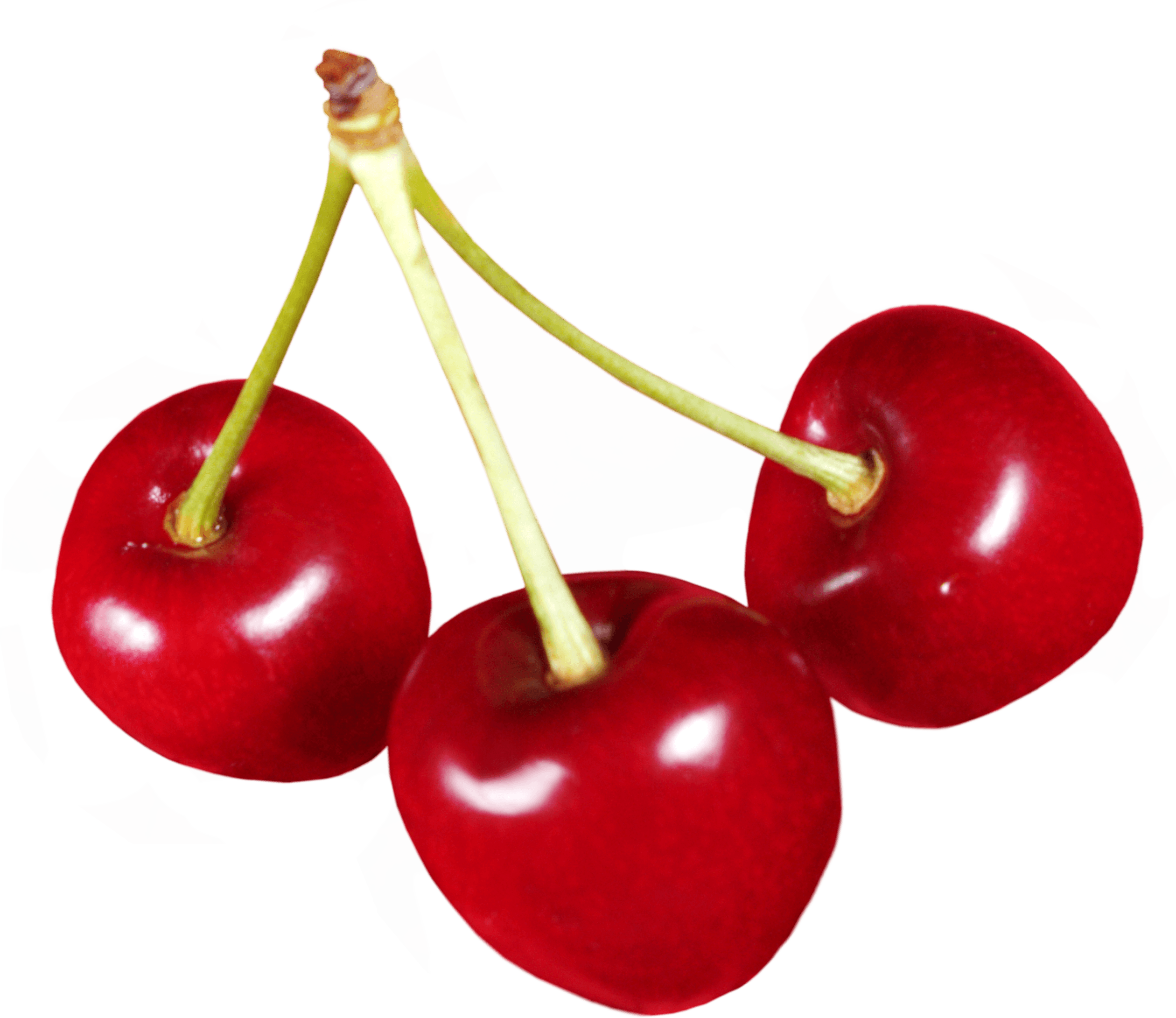 Cherries Png Image PNG Image