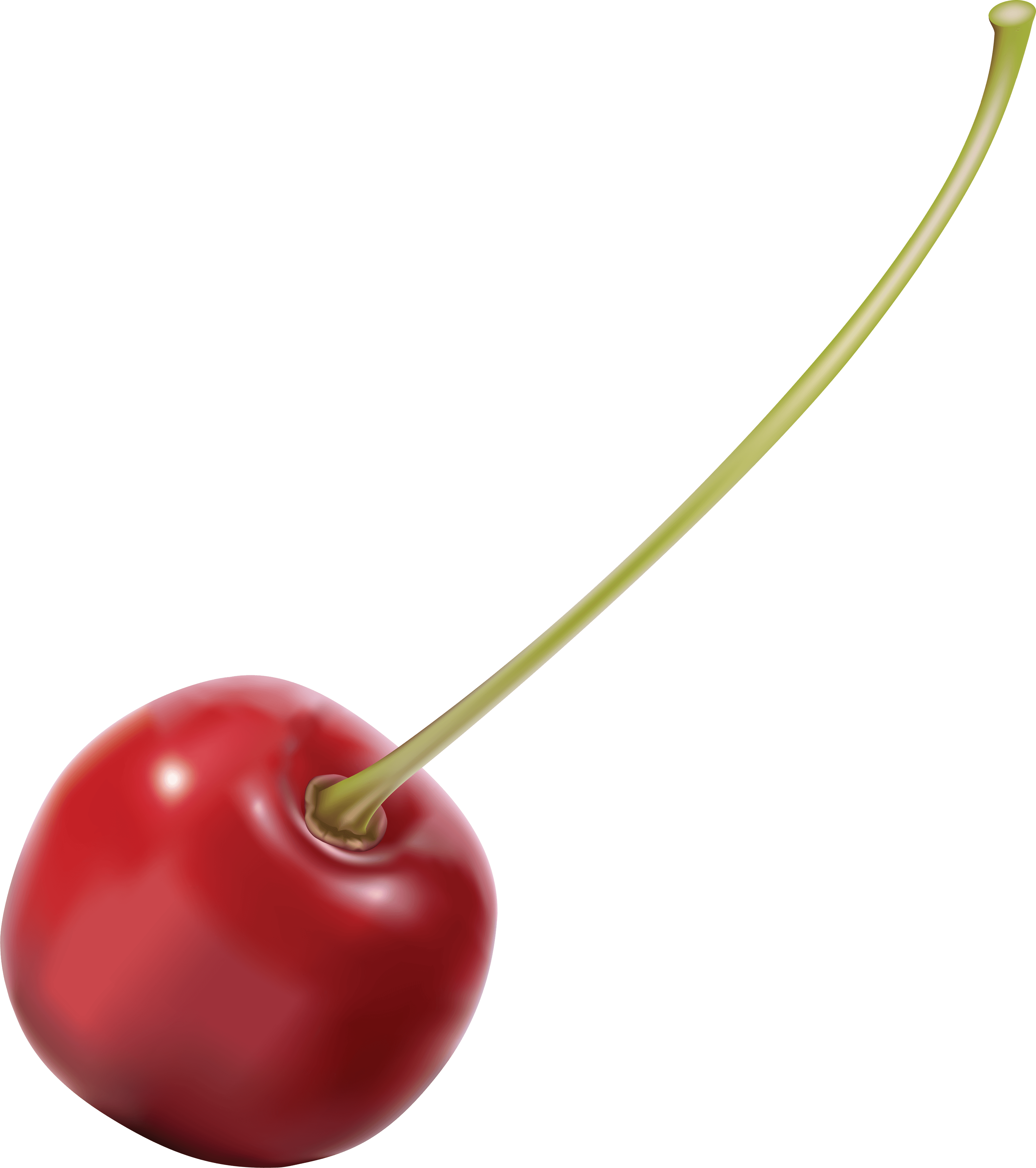 Cherry Png Image PNG Image