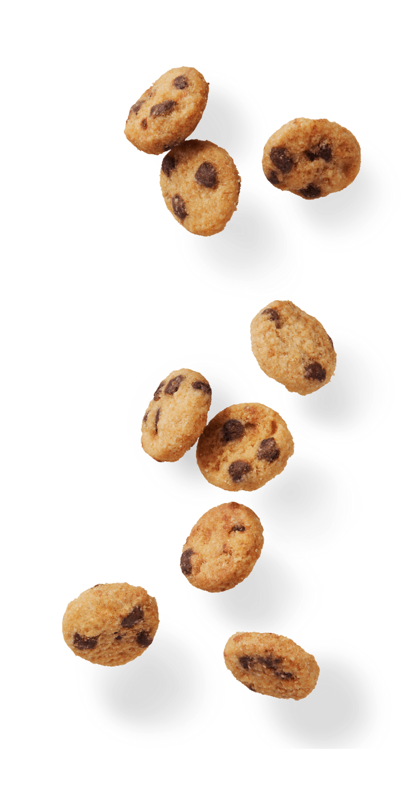 Cookie Chocolate PNG File HD PNG Image