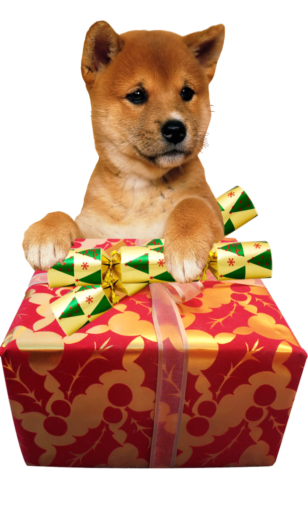 Christmas Animal Free HQ Image PNG Image