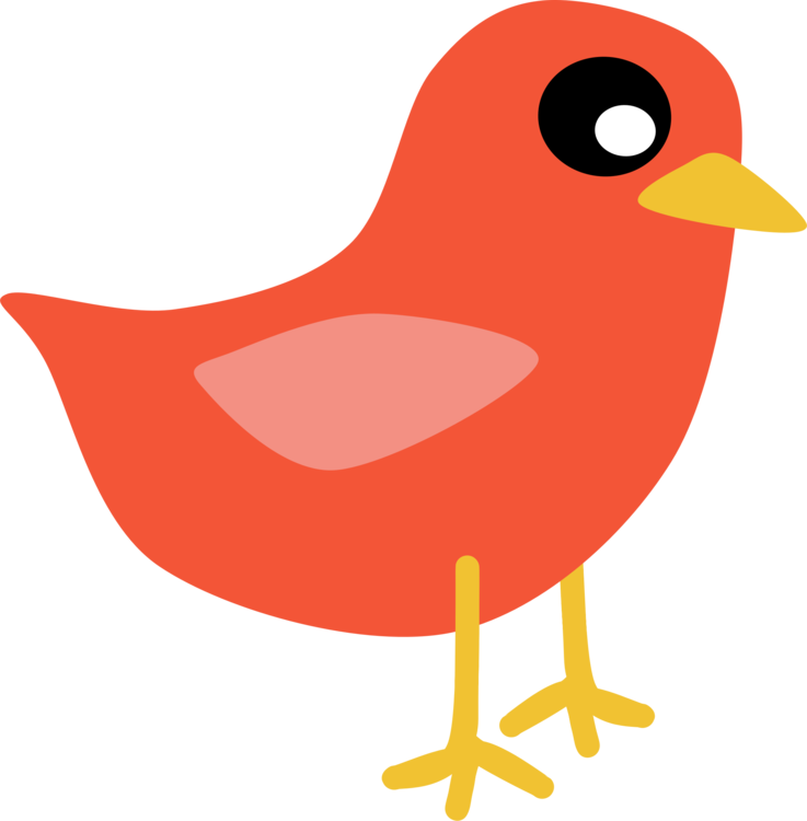 Pic Christmas Bird Free HD Image PNG Image