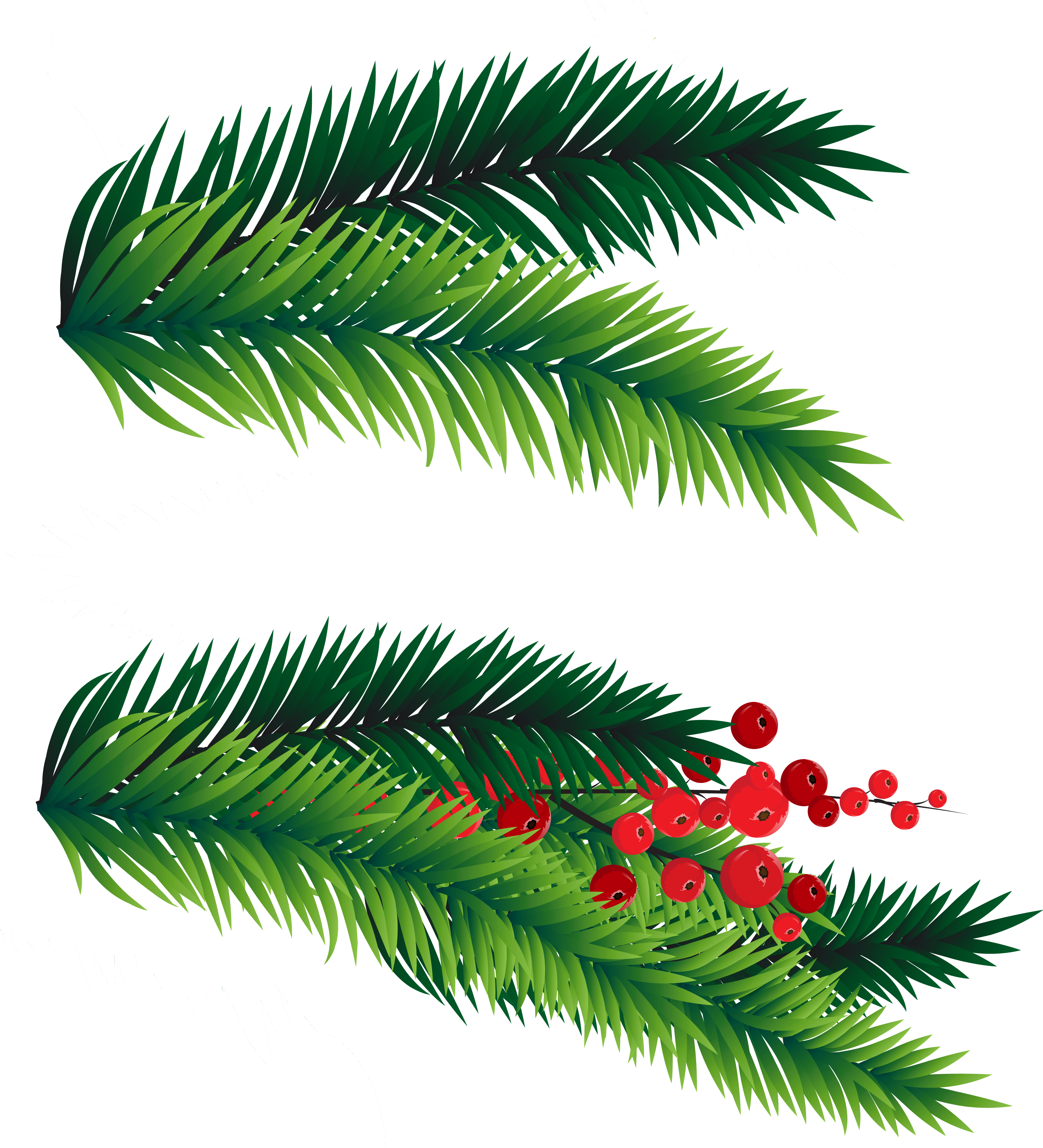 Branches Christmas HQ Image Free PNG Image