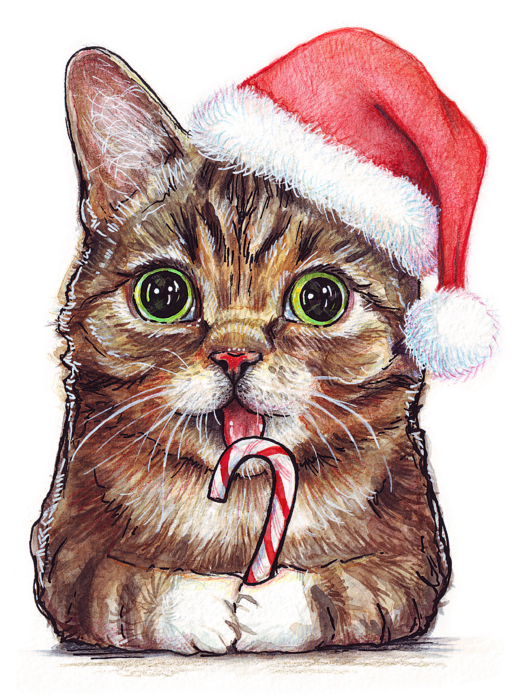 Christmas Kitten Free HD Image PNG Image