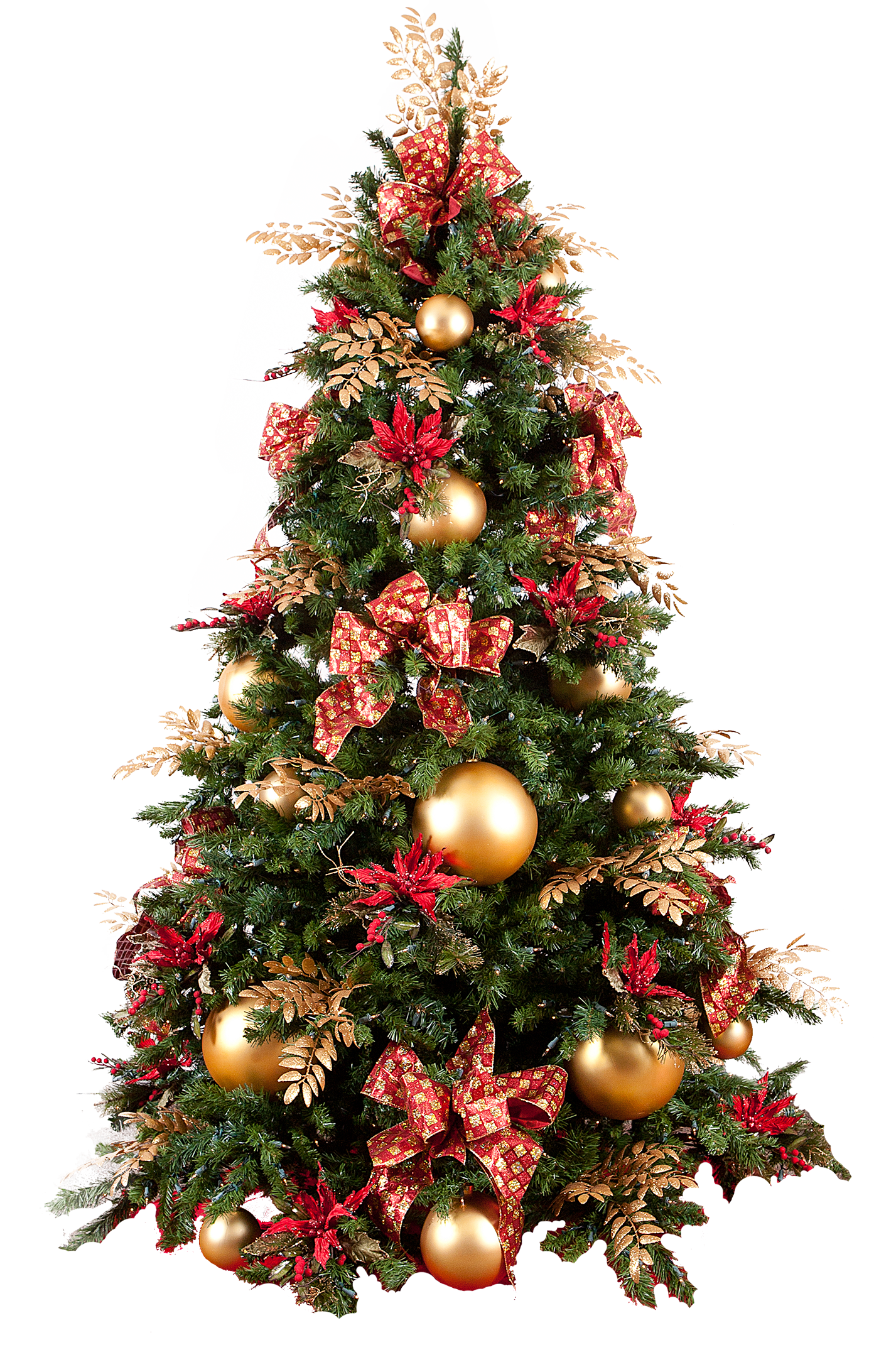 Fir Tree Christmas Free Download Image PNG Image