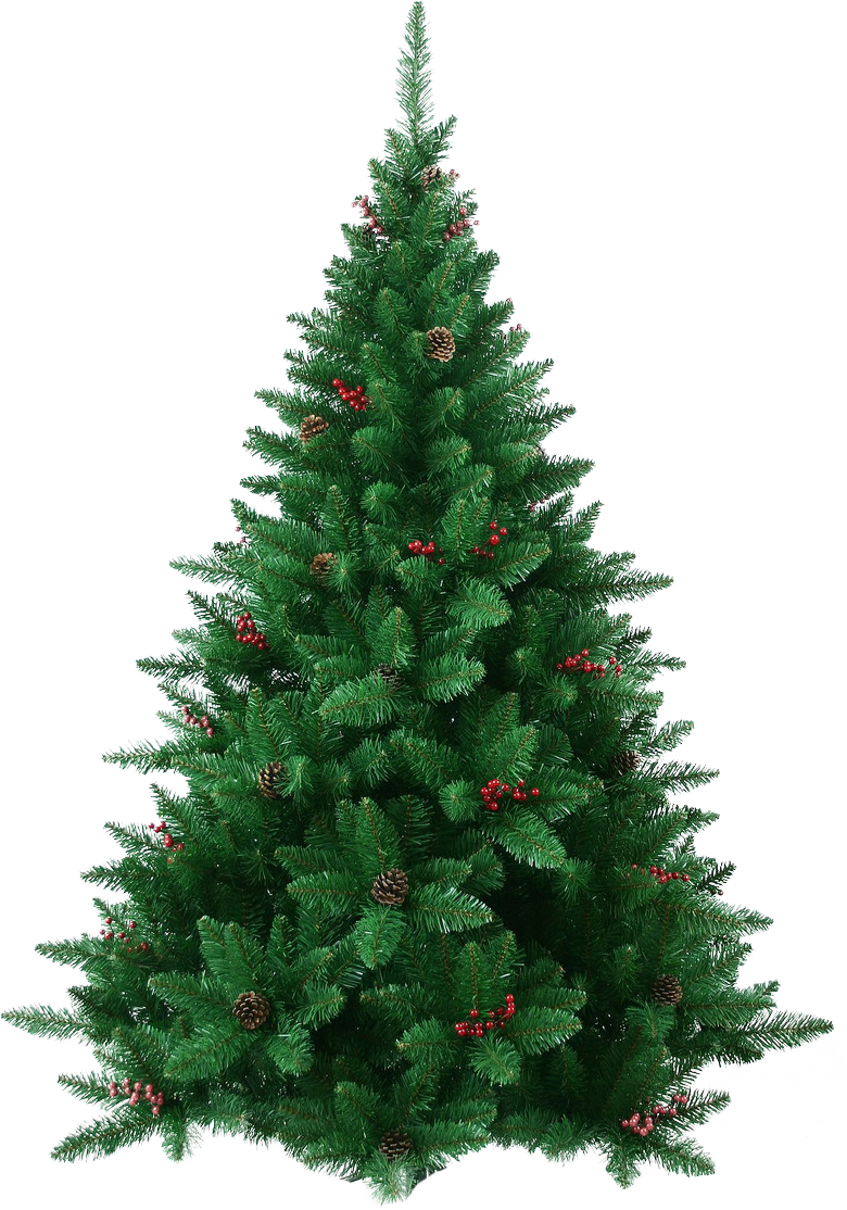 Fir Pic Tree Christmas PNG Free Photo PNG Image