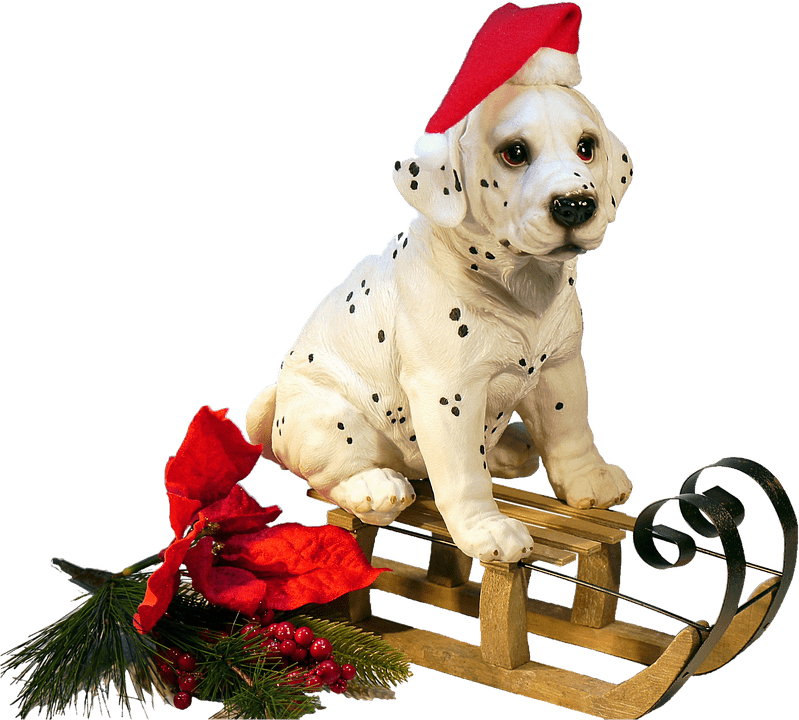 Real Christmas Animal Free HD Image PNG Image