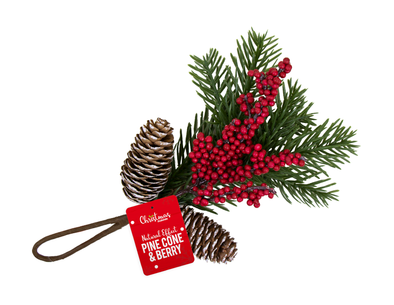 Christmas Pine Cone Free Download Image PNG Image