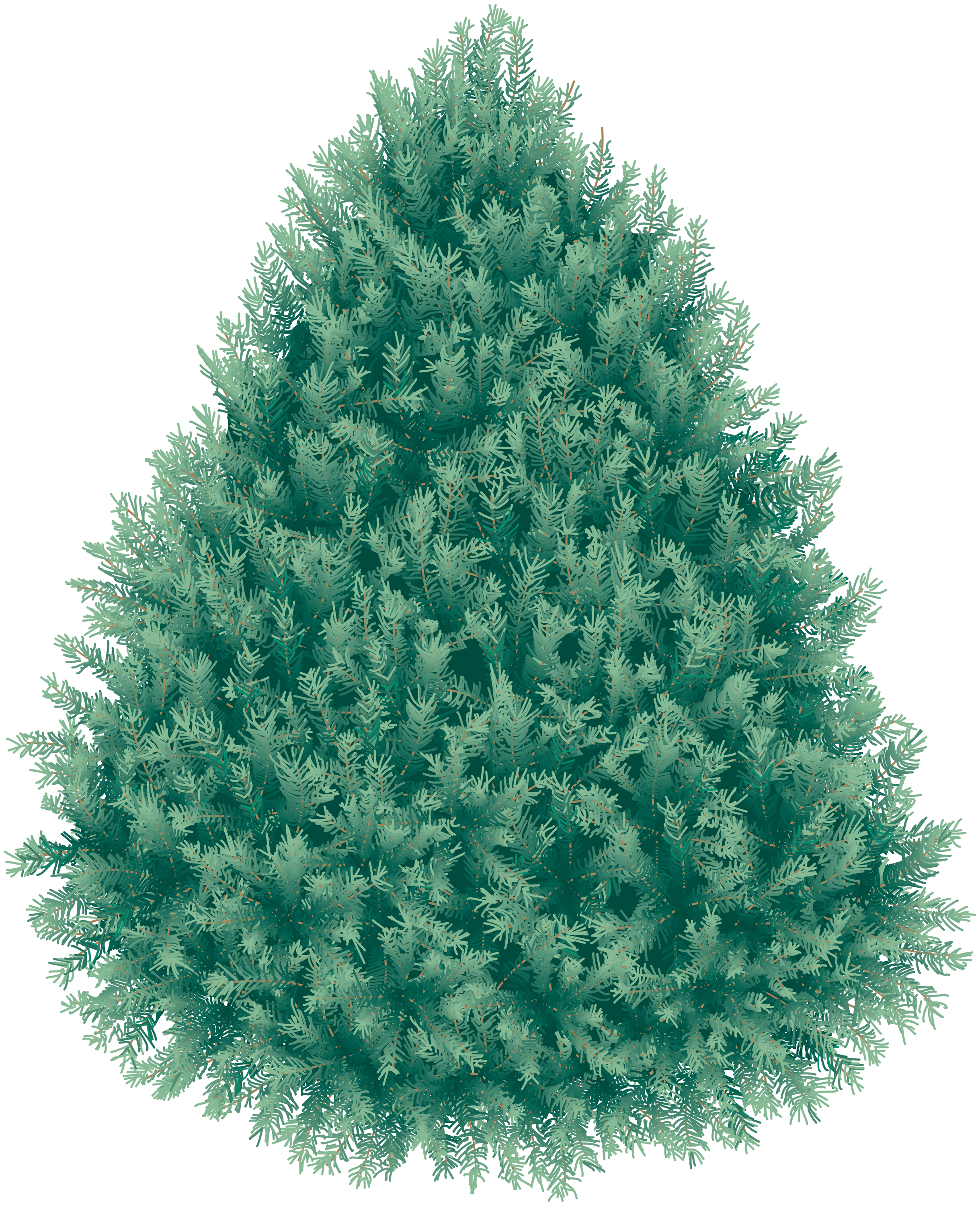 Real Fir-Tree Christmas PNG Free Photo PNG Image