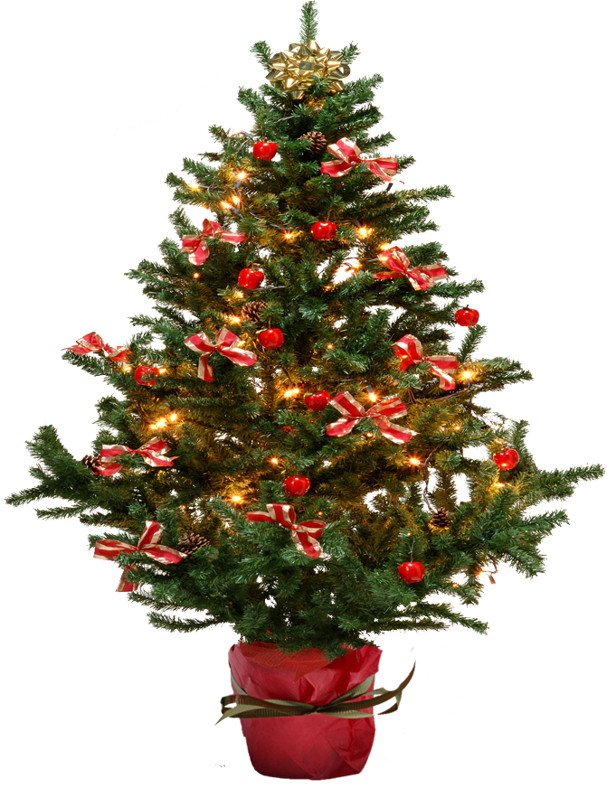 Christmas Tree PNG Image