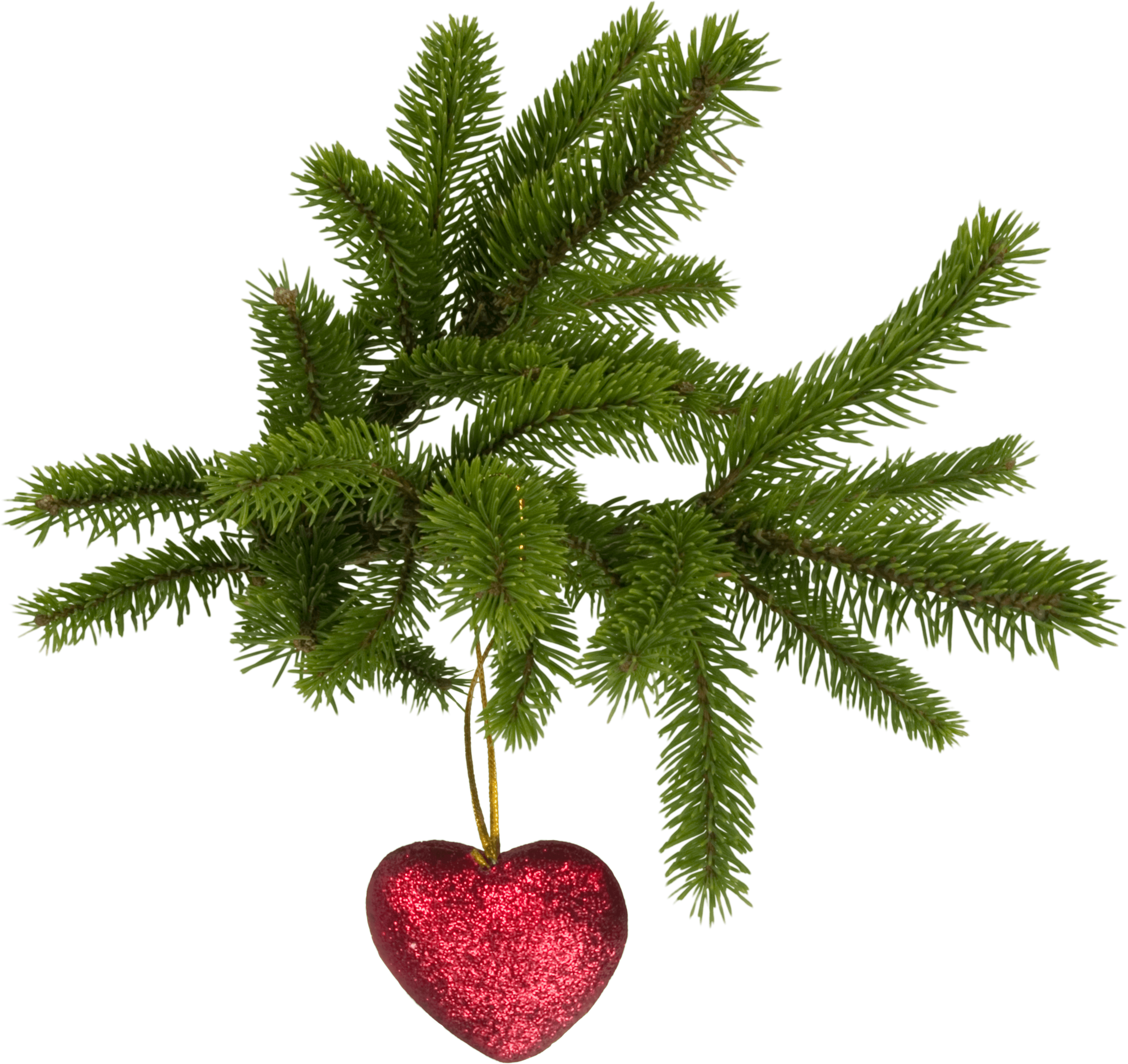 Christmas Png Image PNG Image