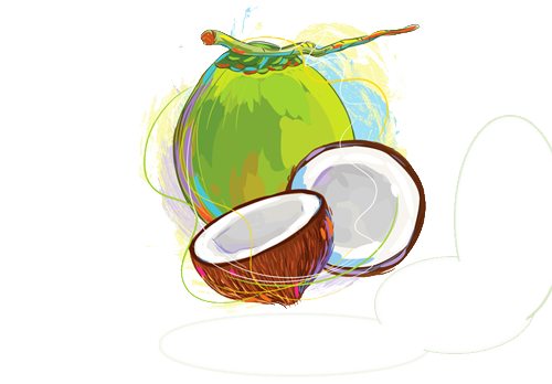 Fresh Coconut Green Free Download Image PNG Image