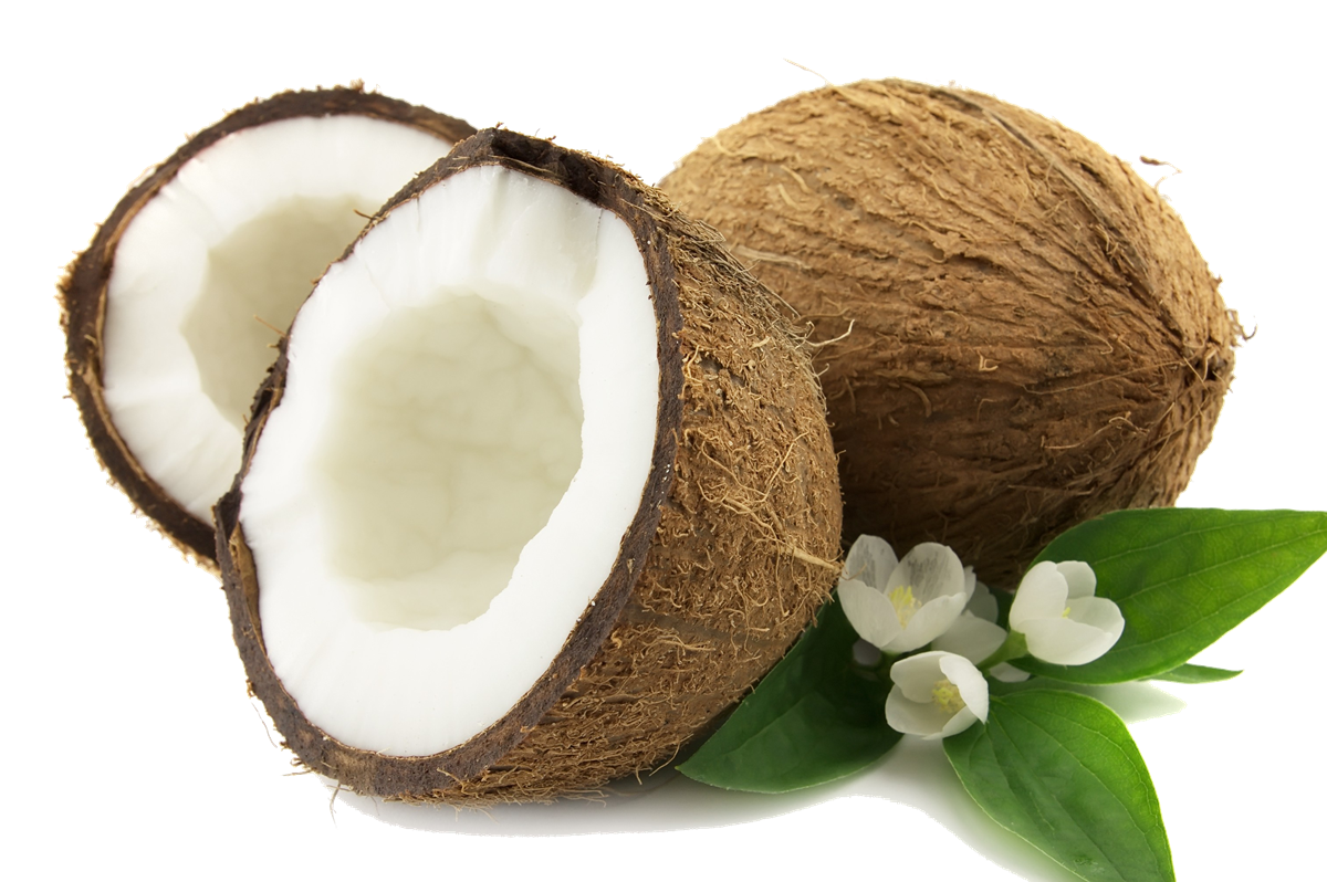 Coconut Png PNG Image