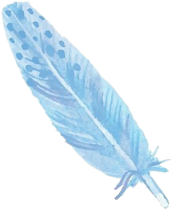 Watercolor Feather PNG Free Photo PNG Image