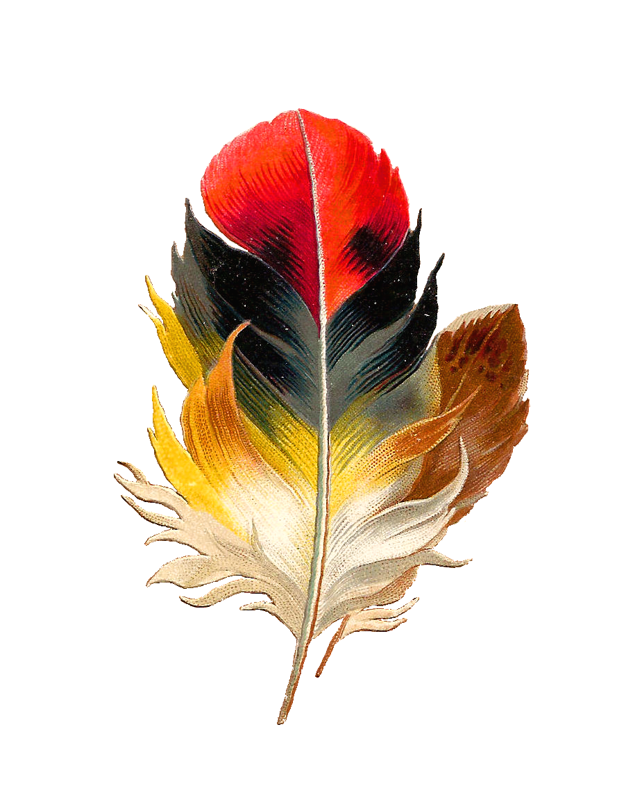 Watercolor Feather PNG Download Free PNG Image