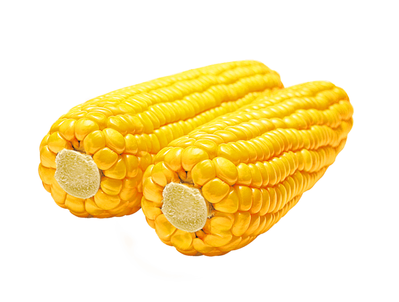 Corn Png Image PNG Image