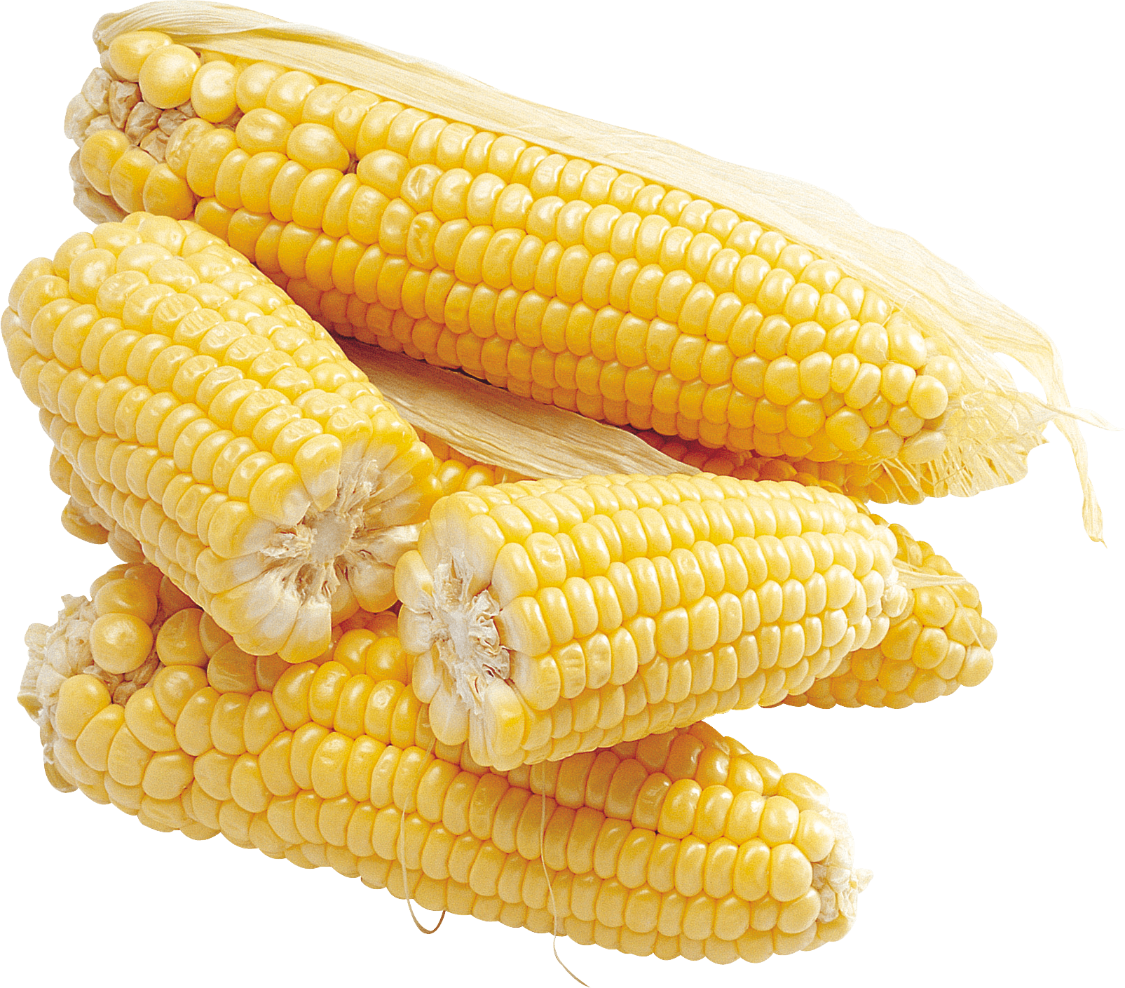 Corn Png Image PNG Image