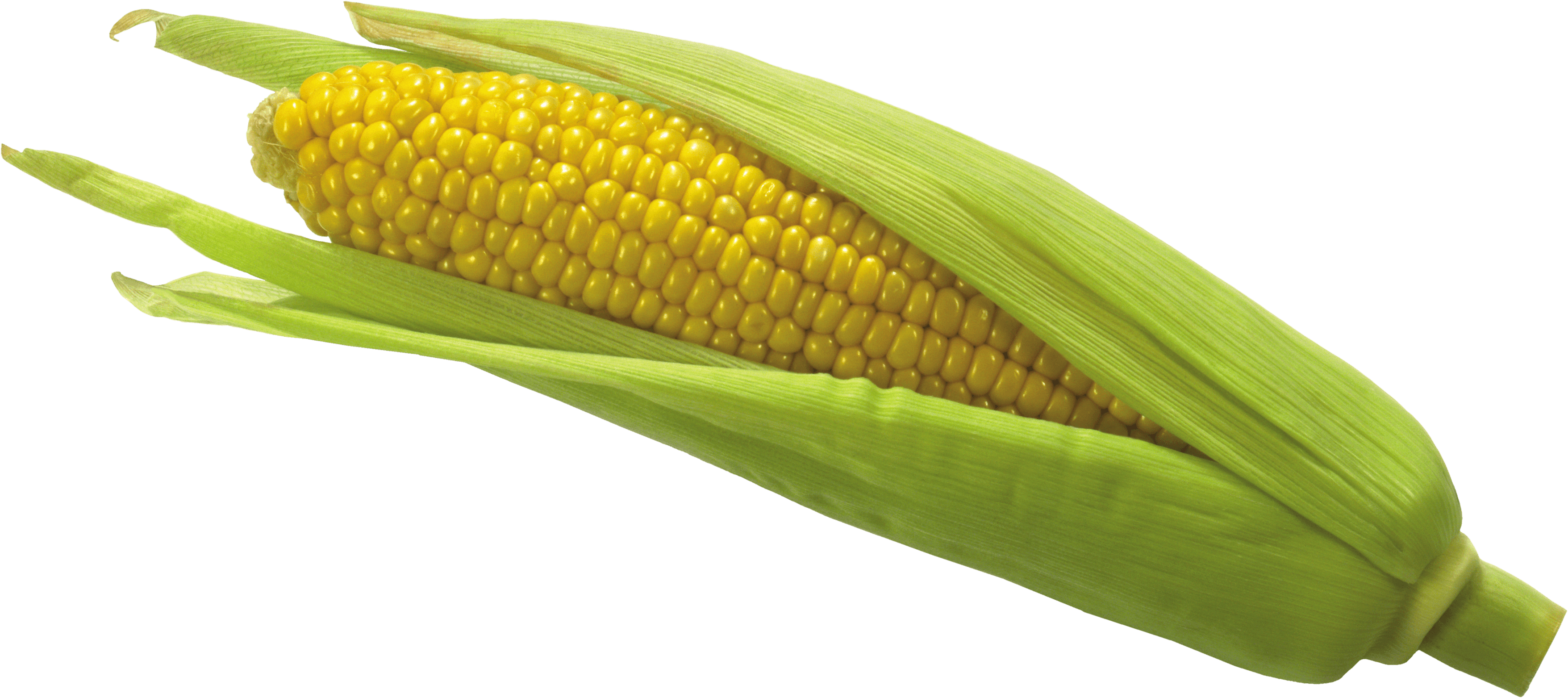 Corn Png Image PNG Image