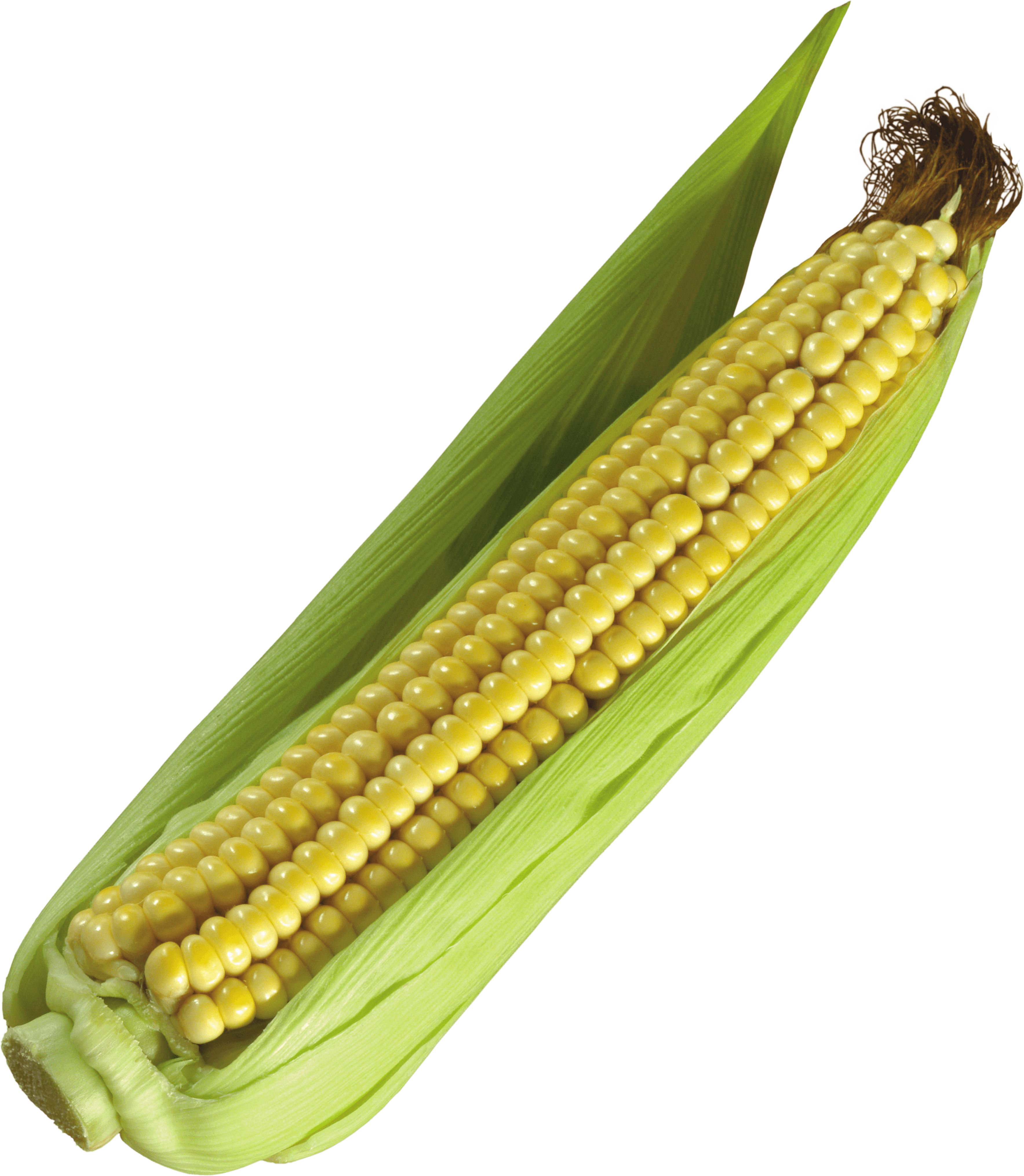 Corn Png Image PNG Image