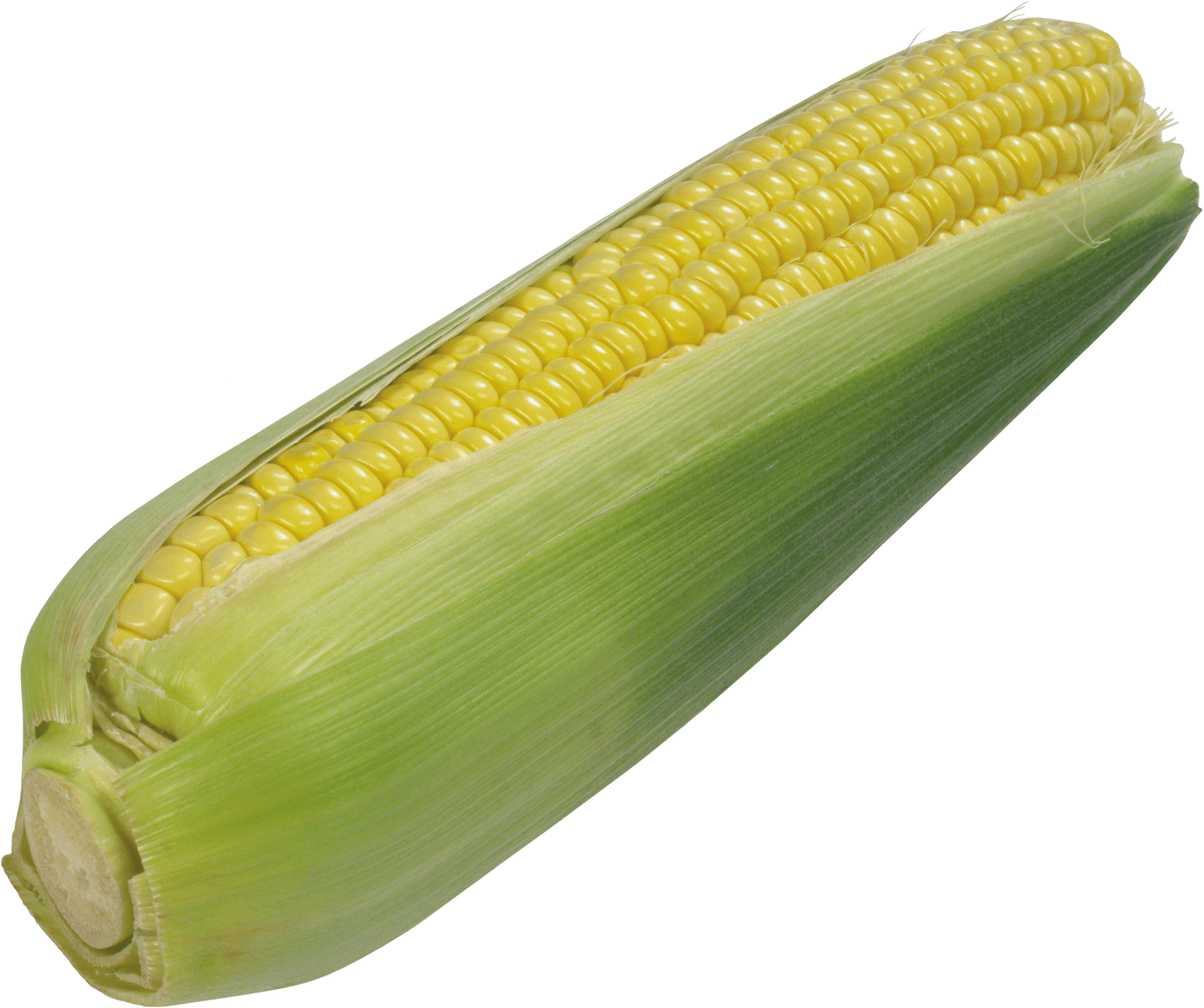 Corn Png Image PNG Image