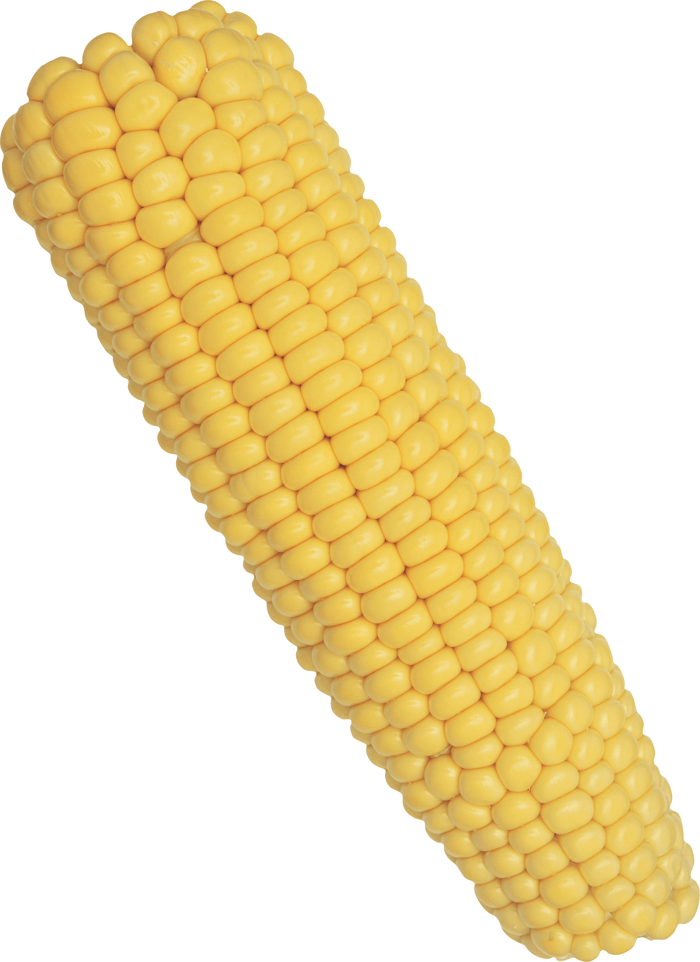 Corn Png Image PNG Image