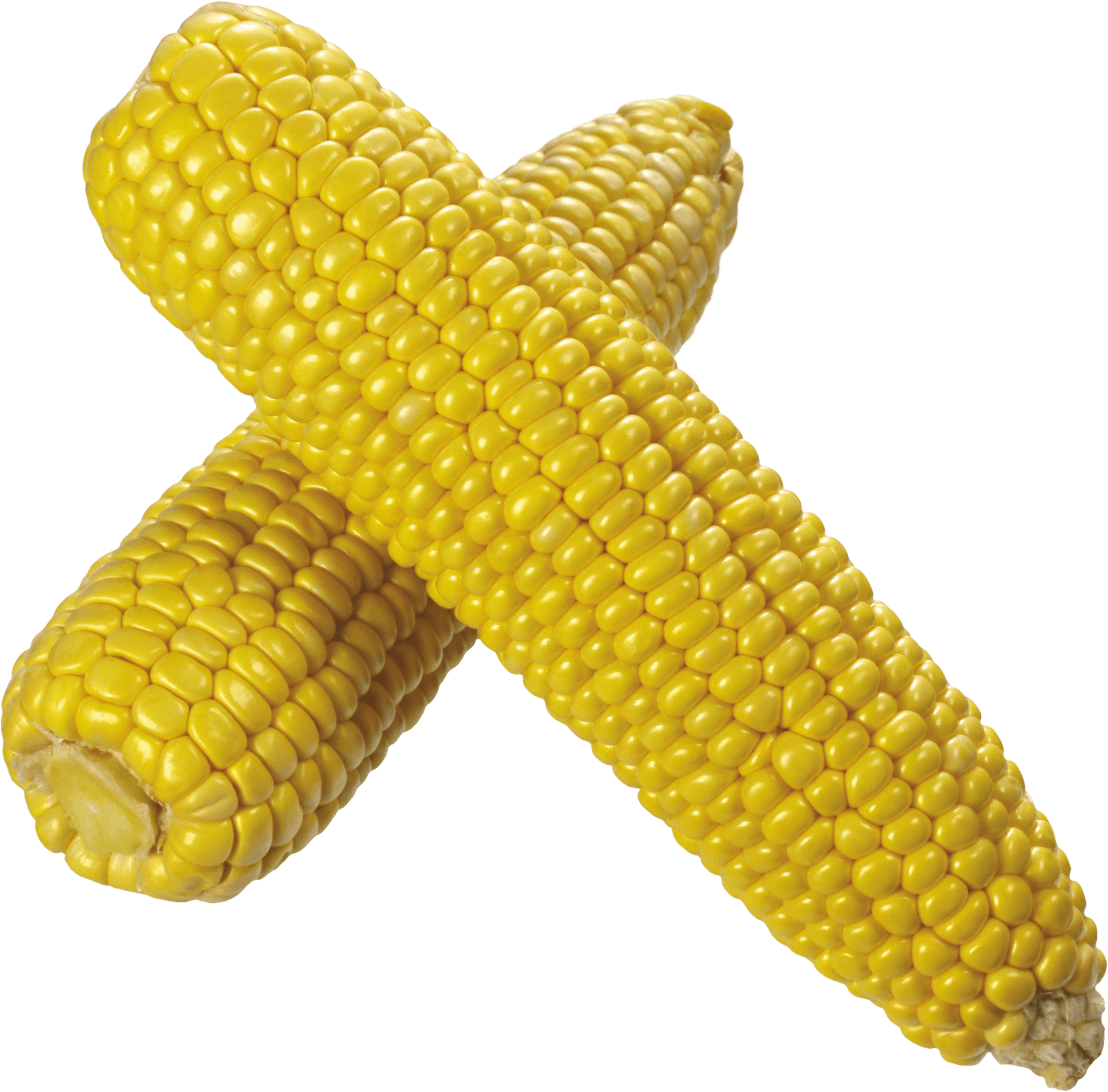 Corn Png Image PNG Image