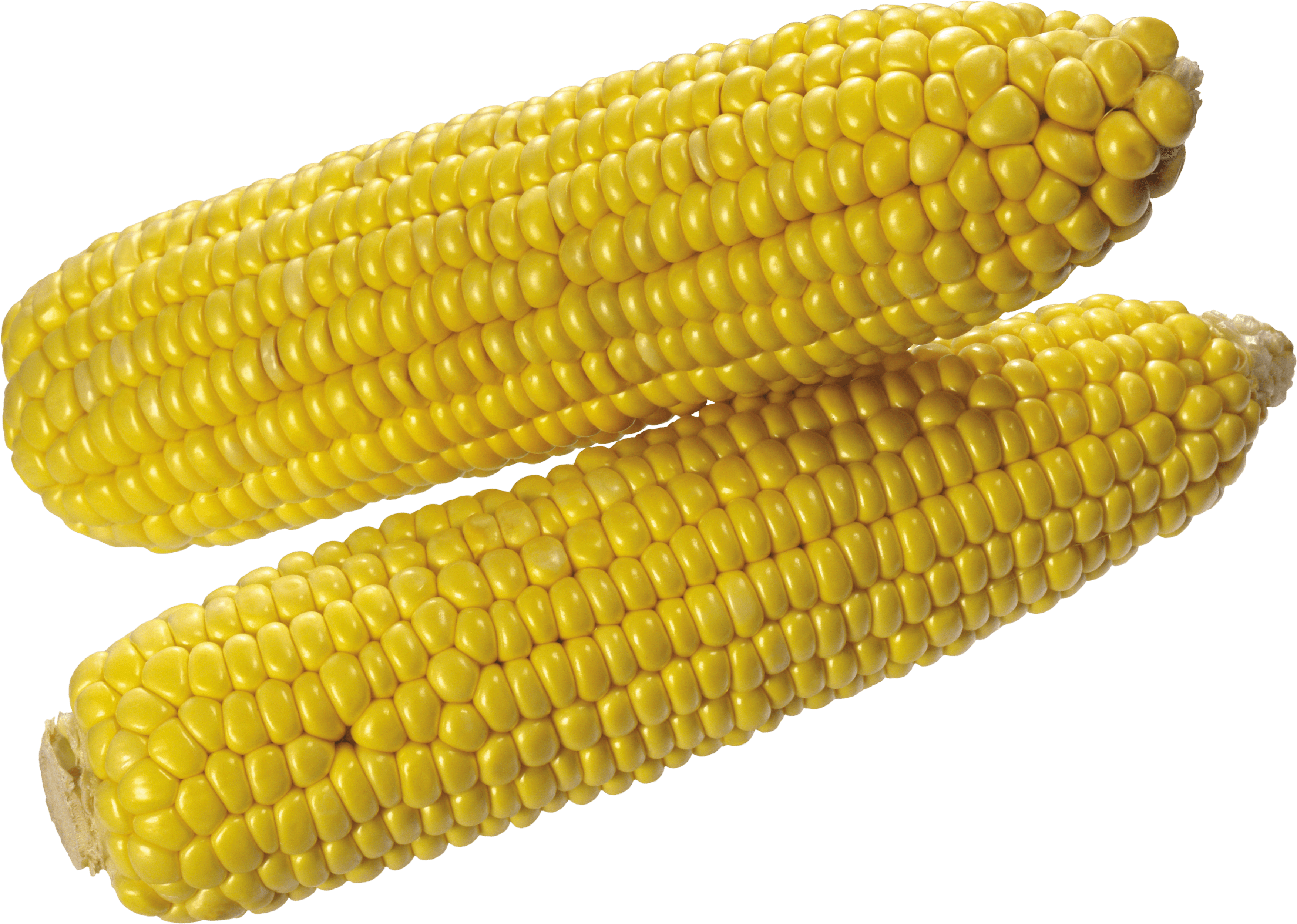 Corn Png Image PNG Image