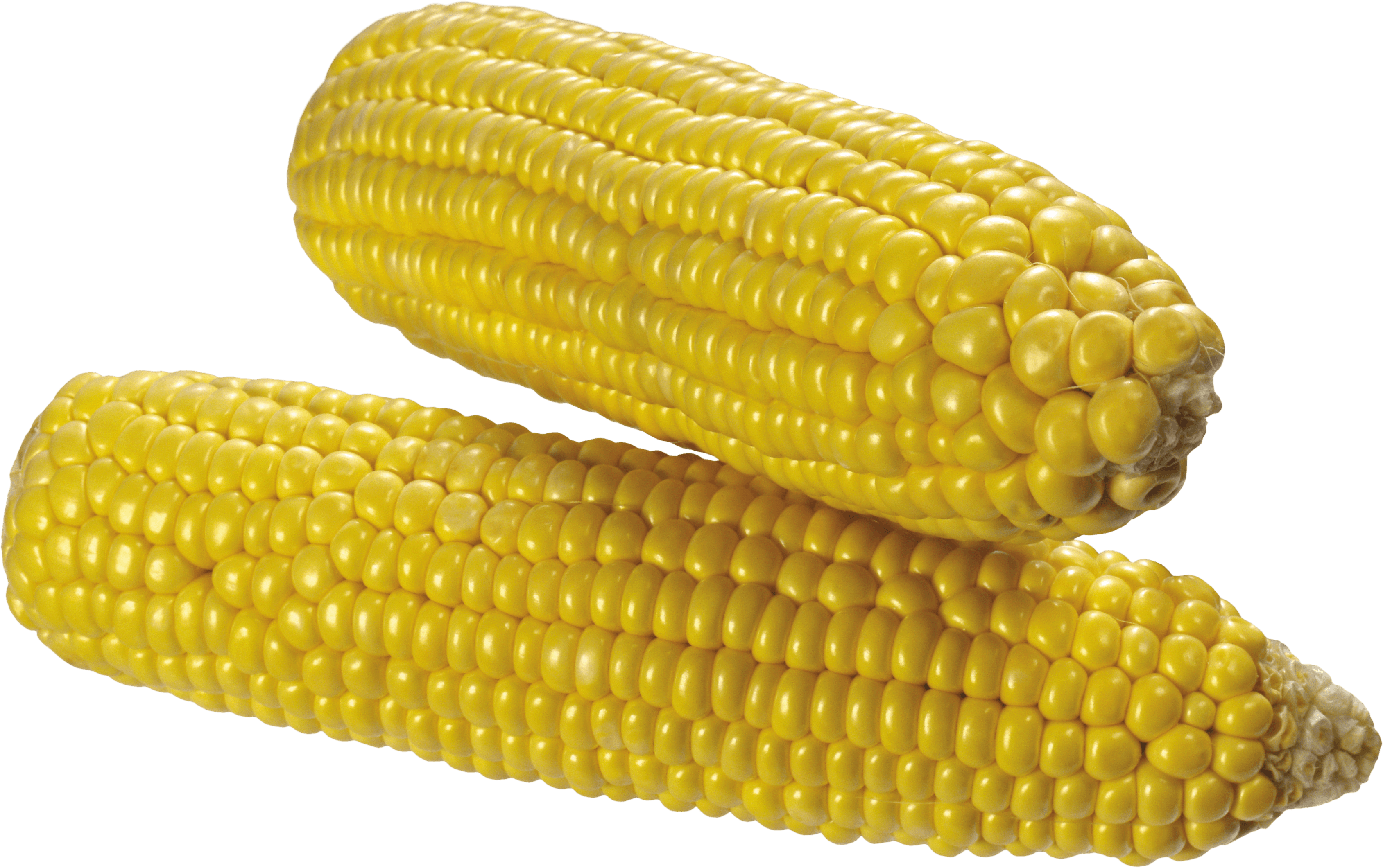 Corn Png Image PNG Image