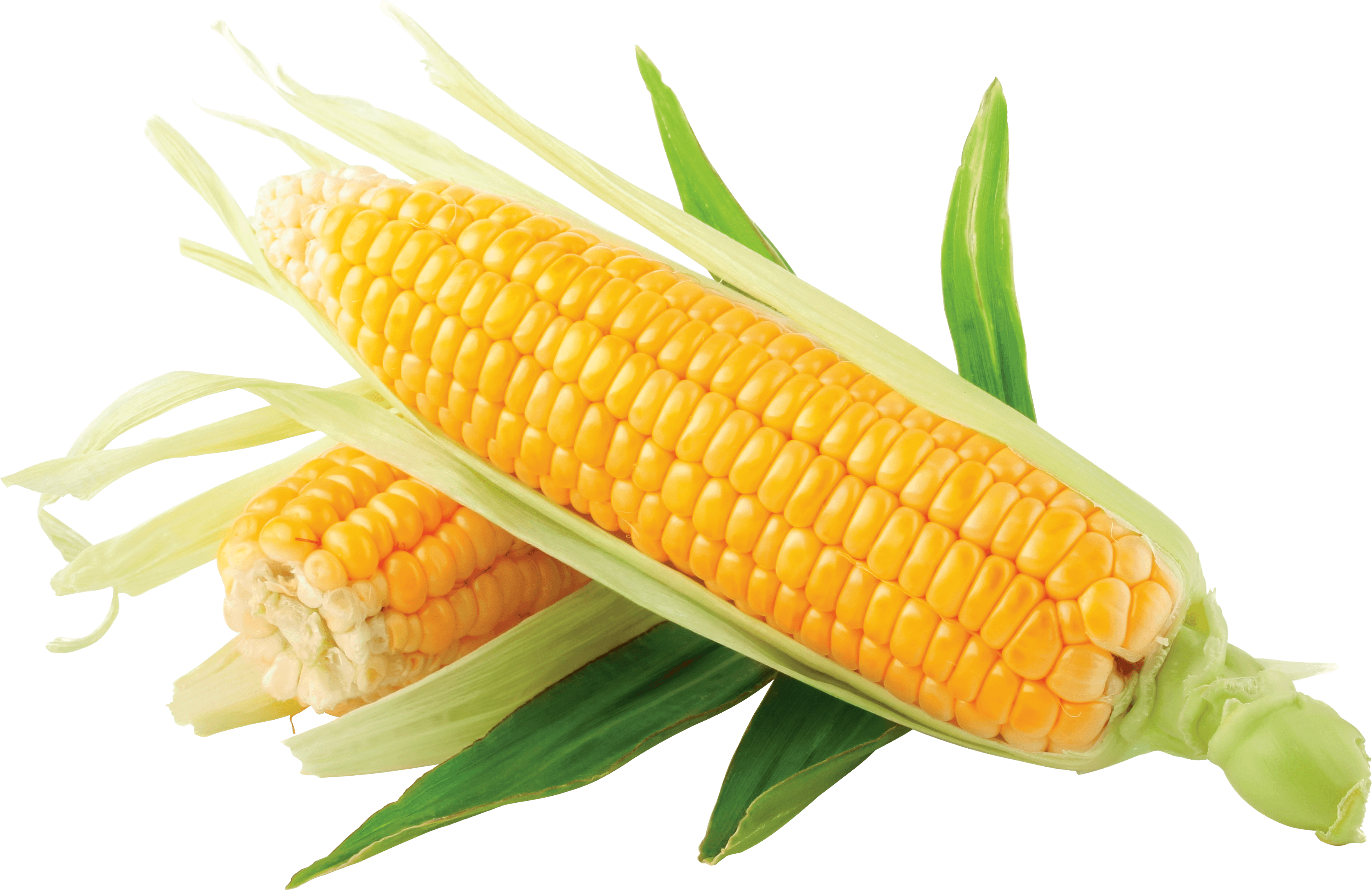 Corn Png Image PNG Image