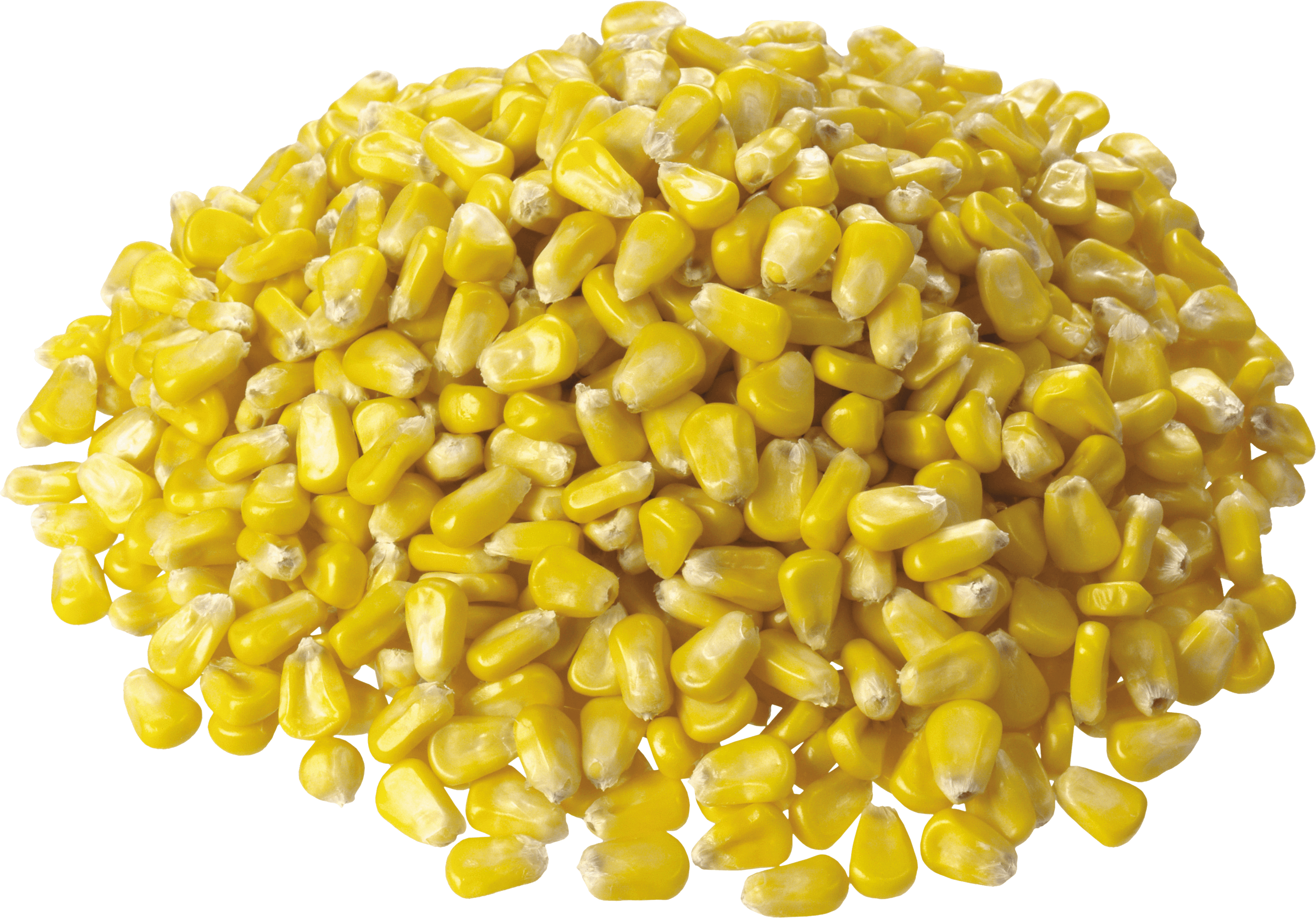 Corn Png Image PNG Image