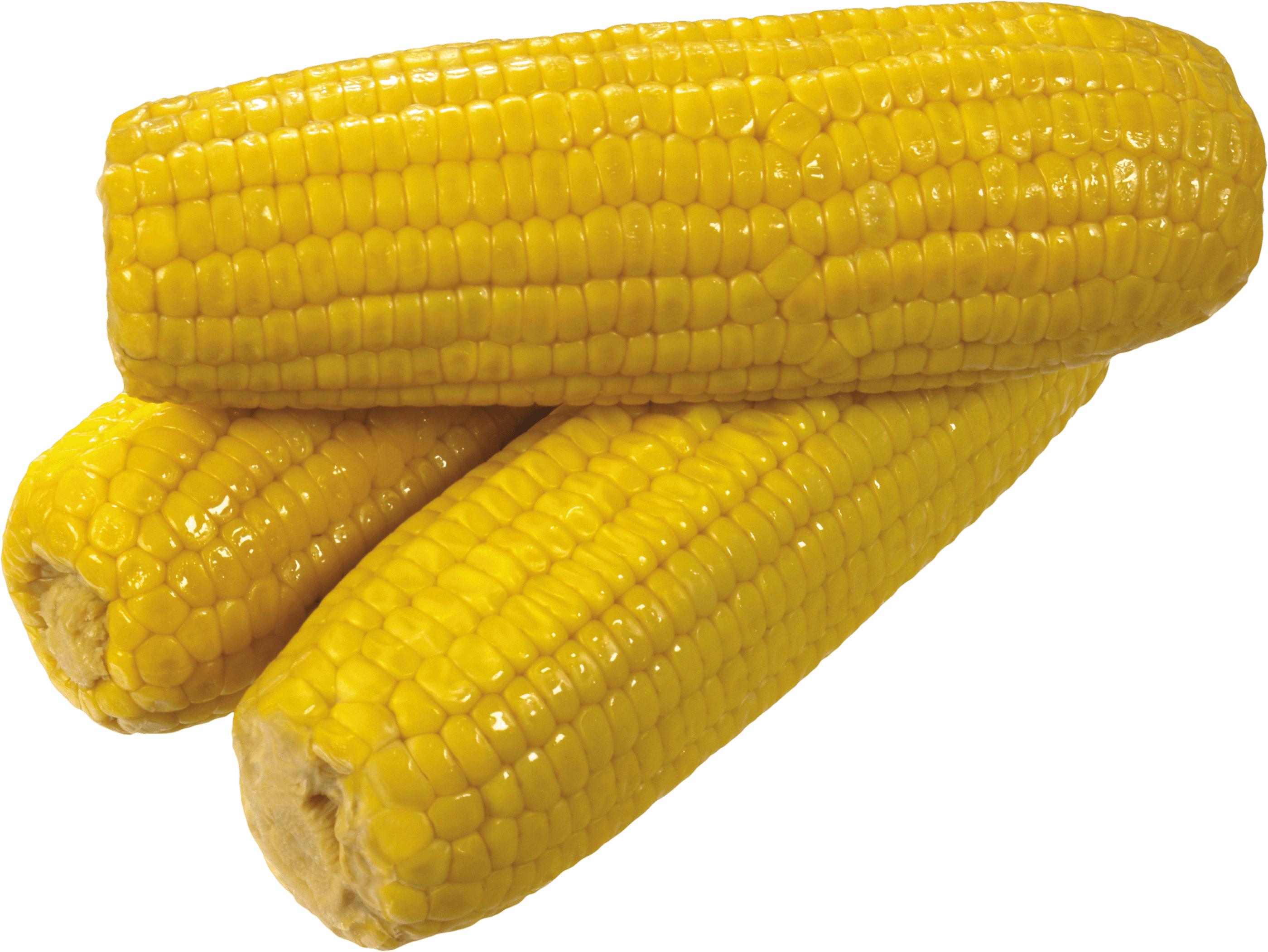 Yellow Corn Png Image PNG Image