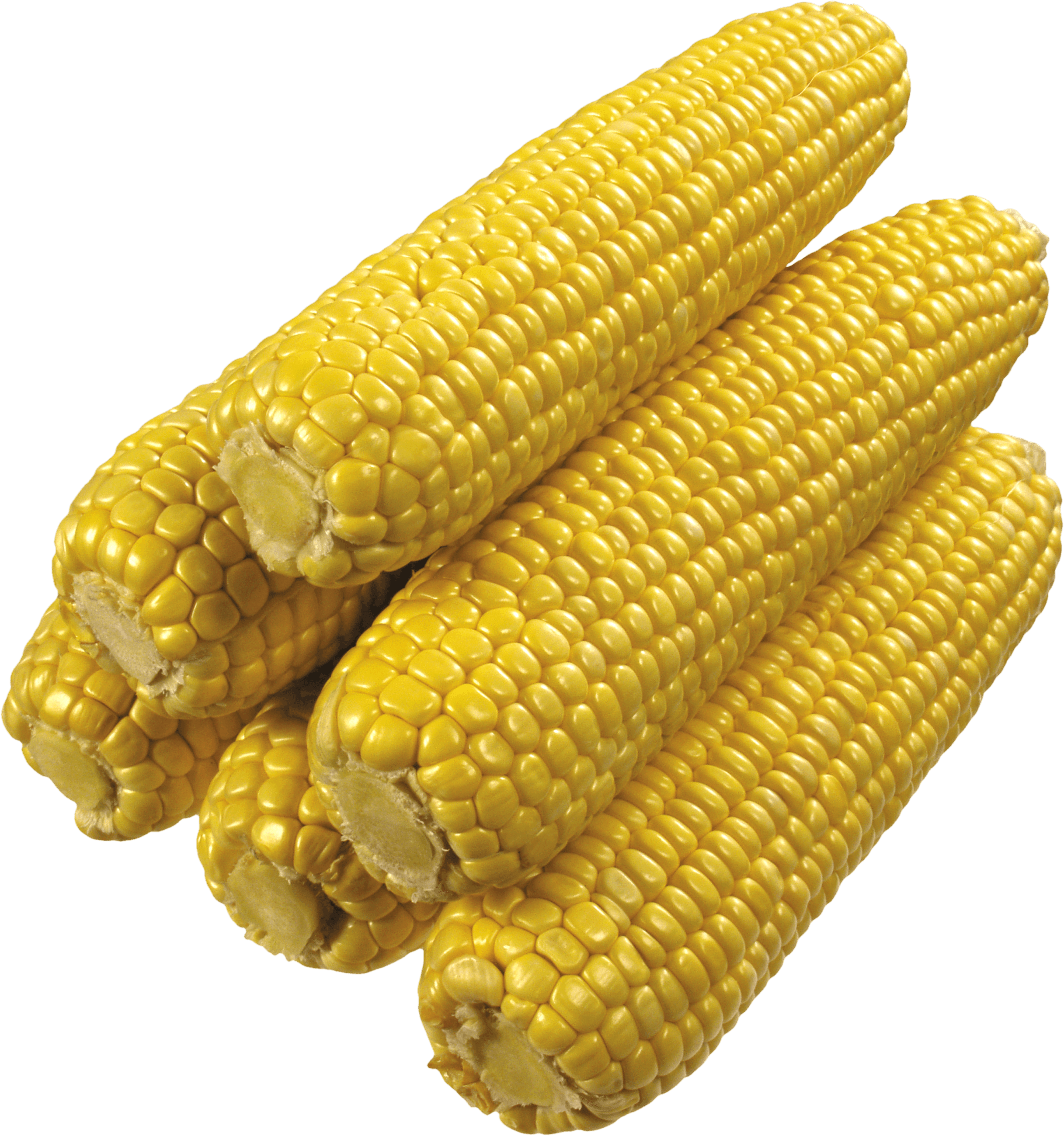 Corn Png Image PNG Image