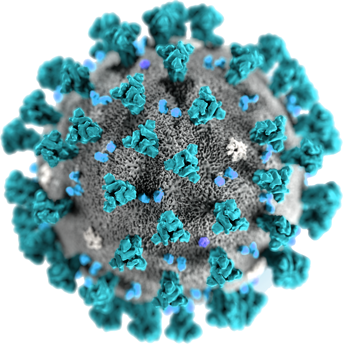 Coronavirus Disease PNG Free Photo PNG Image