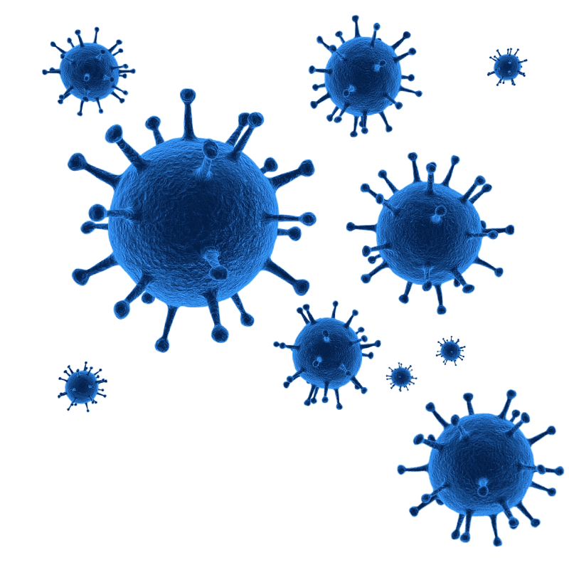 Virus Covid-19 Free Download Image PNG Image