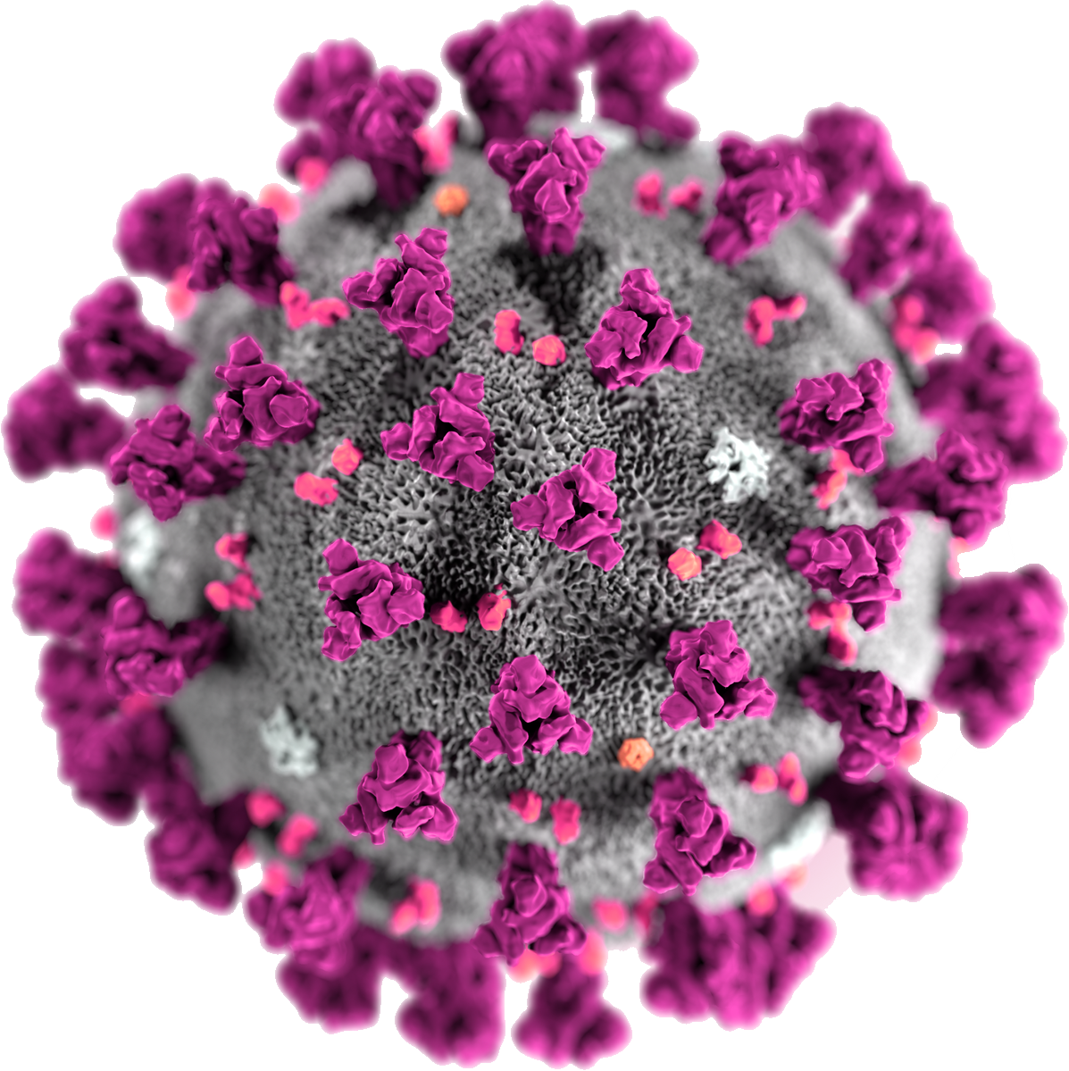 Photos Virus Covid-19 Free Transparent Image HQ PNG Image