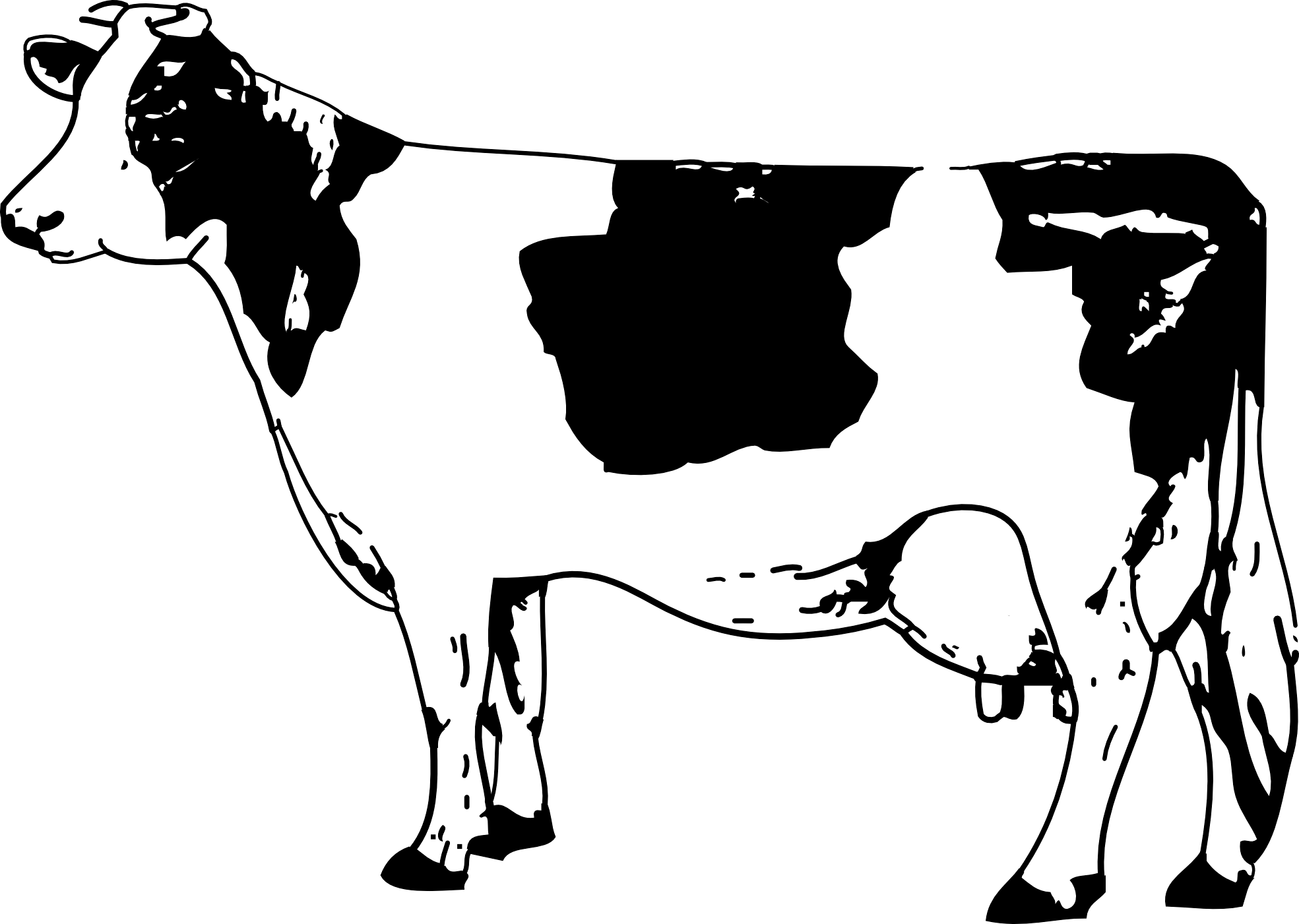 Cow Png Image PNG Image