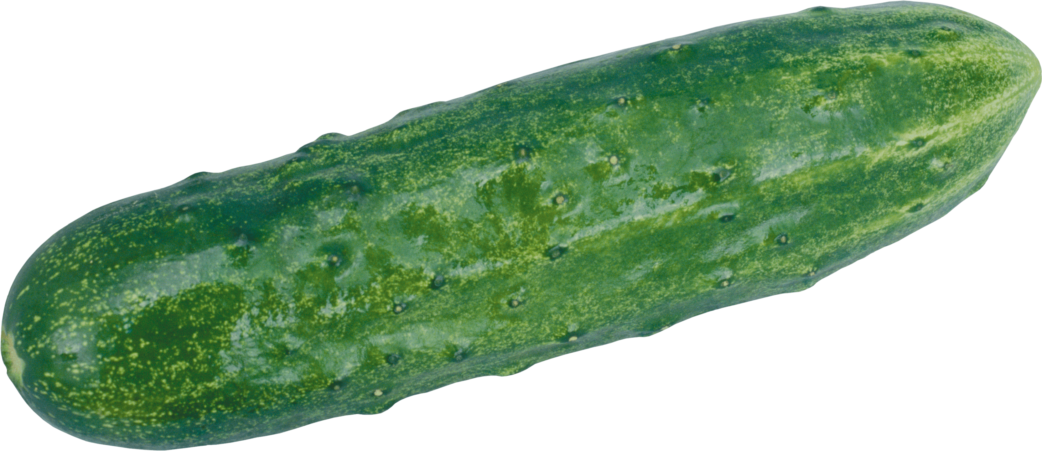 Green Cucumber Png Image PNG Image