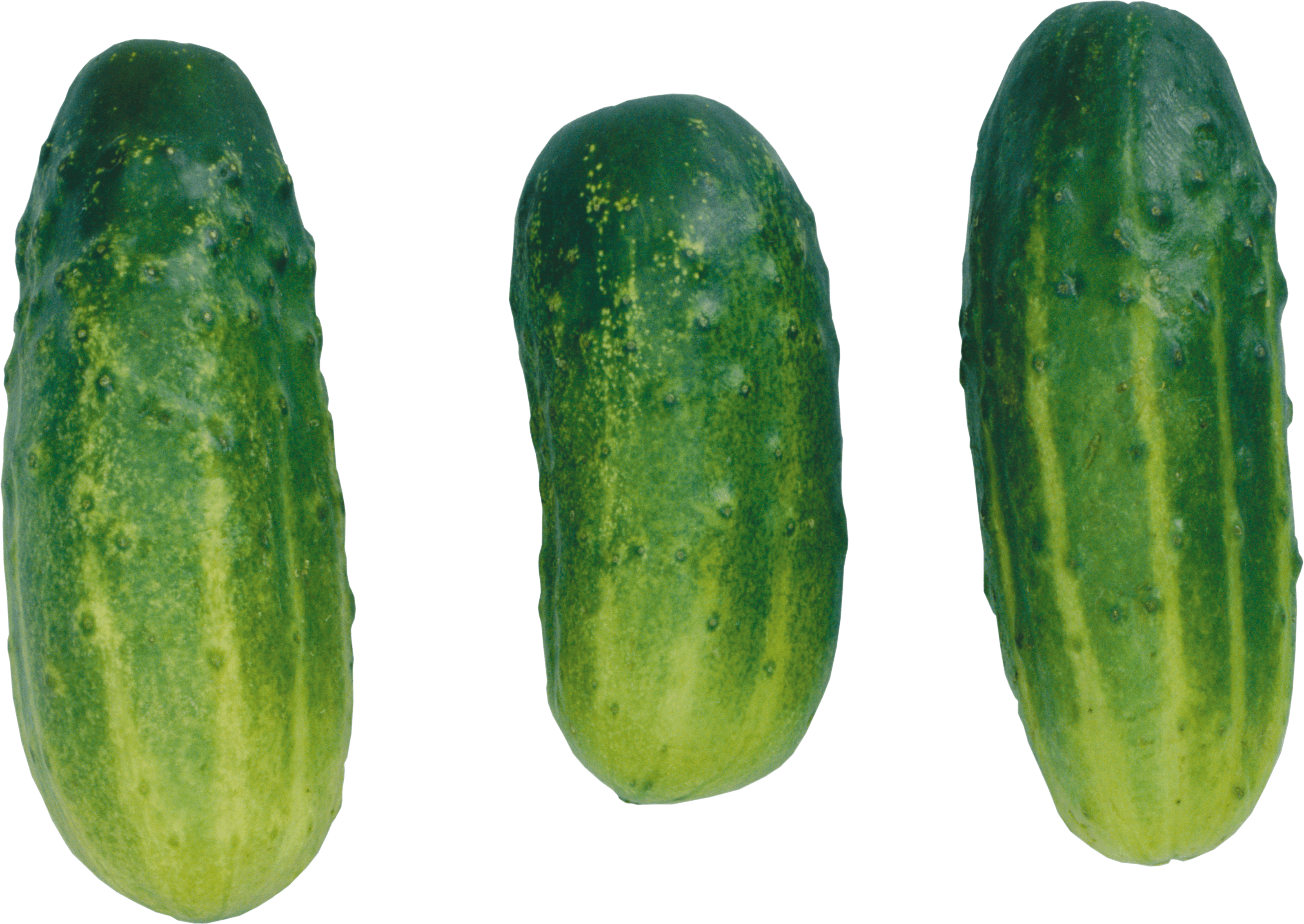 Cucumbers Png Image PNG Image