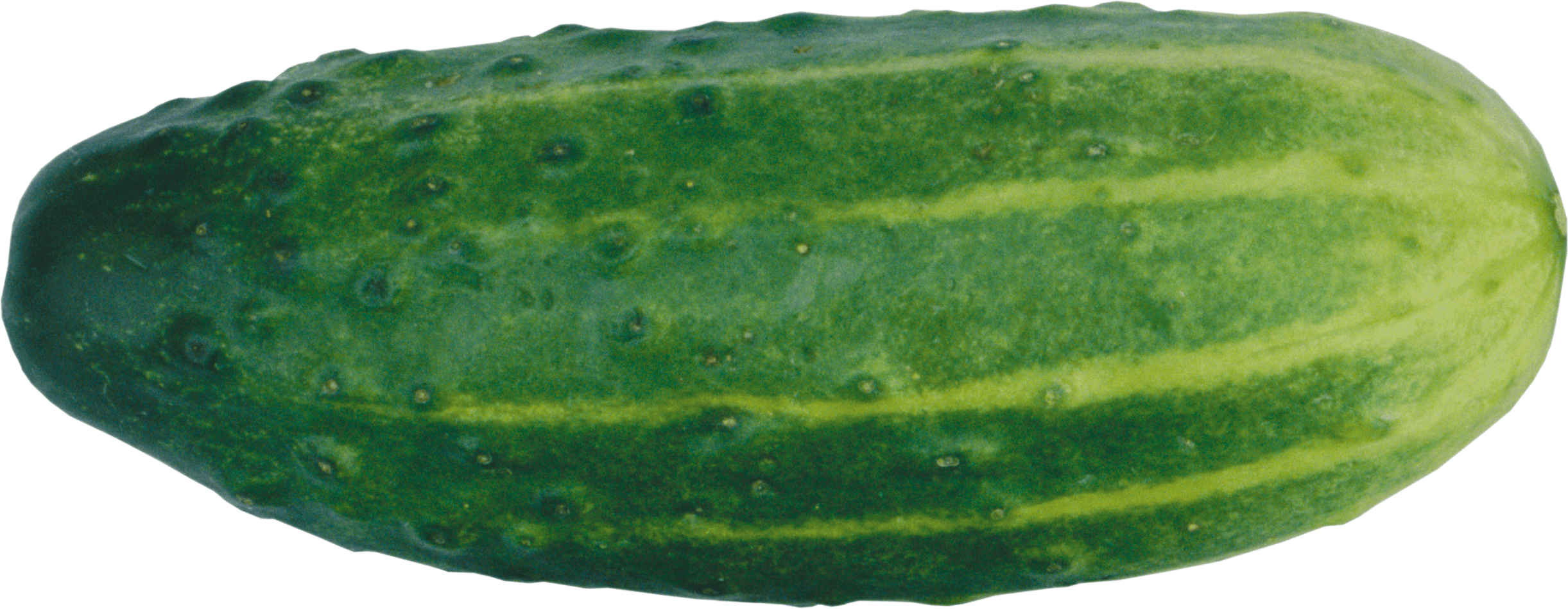 Green Cucumber Png Image PNG Image