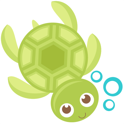 Cute Turtle Transparent PNG Image