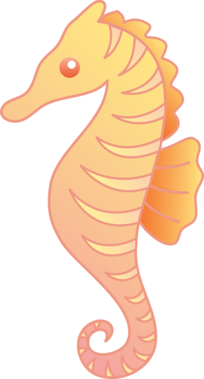 Cute Seahorse Photos PNG Image